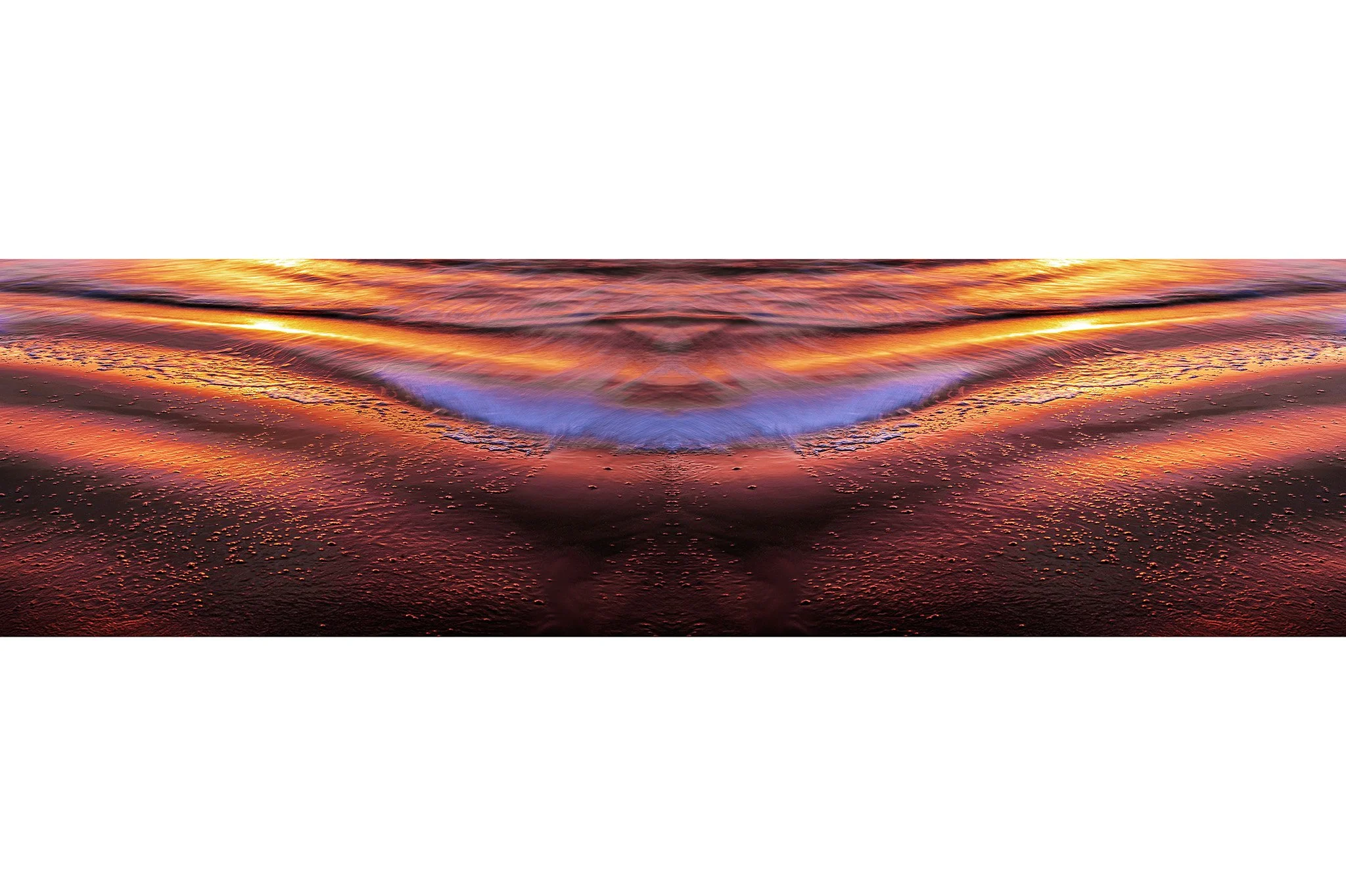 The Shapeshifter.jpg