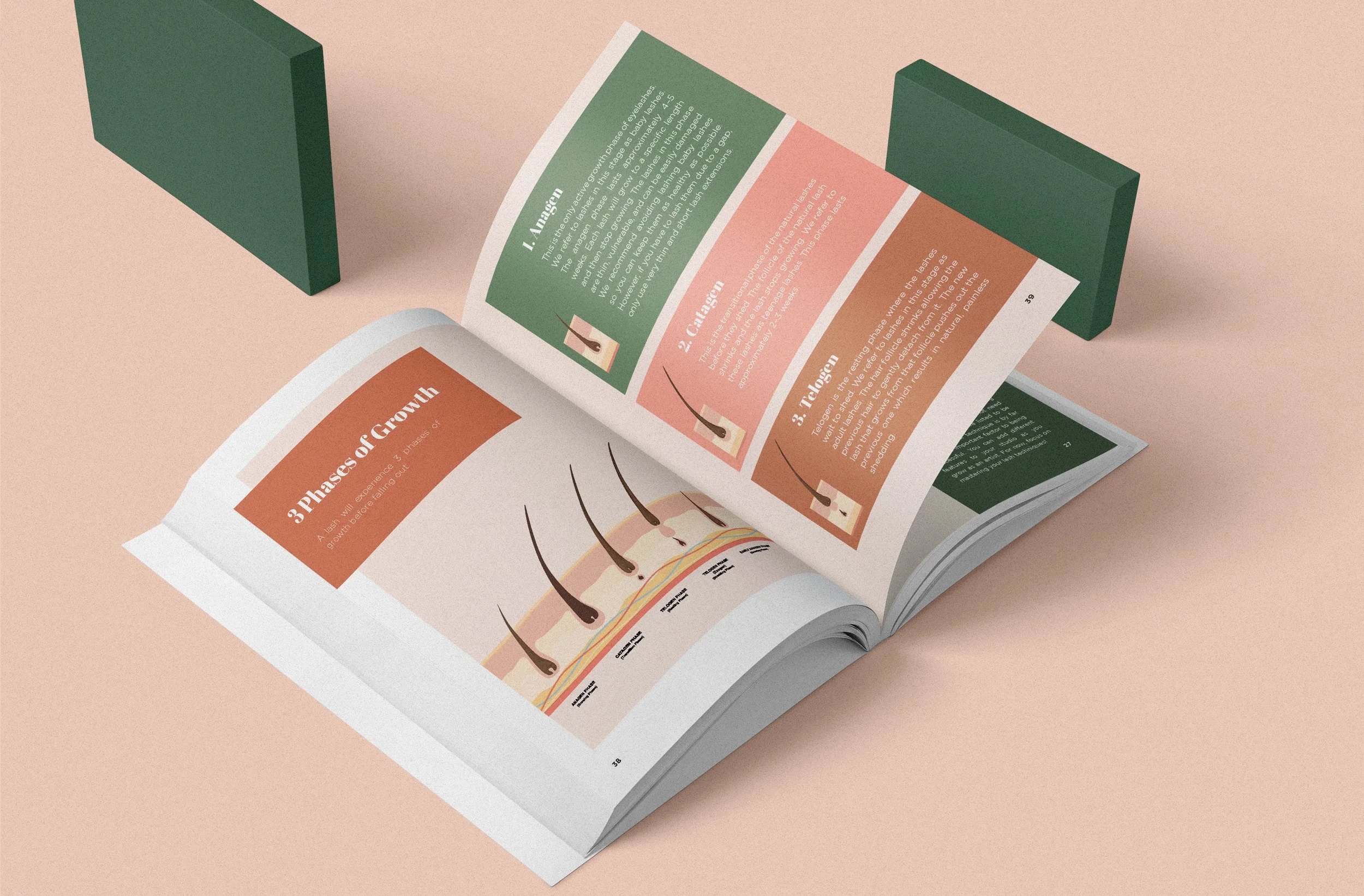 Mockup 4.jpg