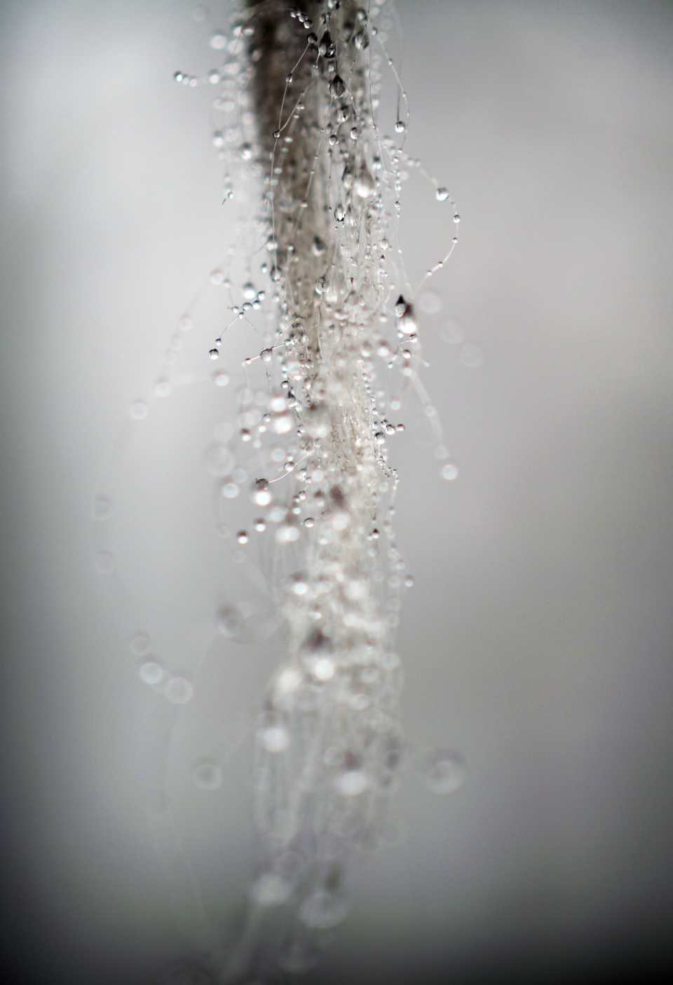 Screenshot 2026-01-20 at 20.25.53.png