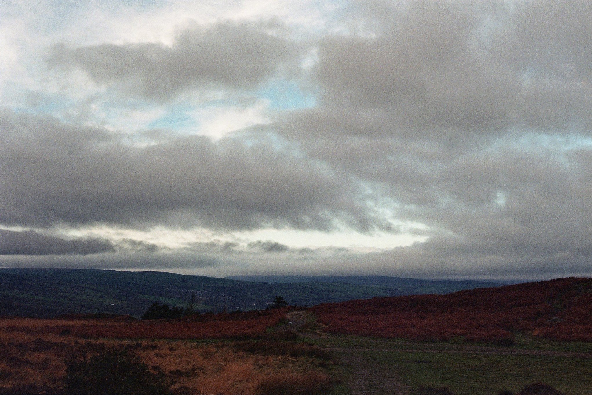 8873-005.jpg
