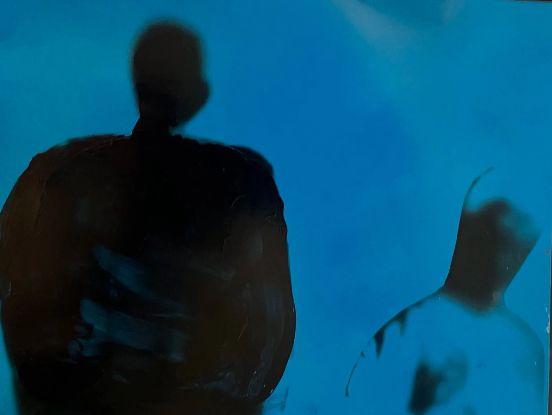 Mexico - Line drawings, photo montage, and organic matter.