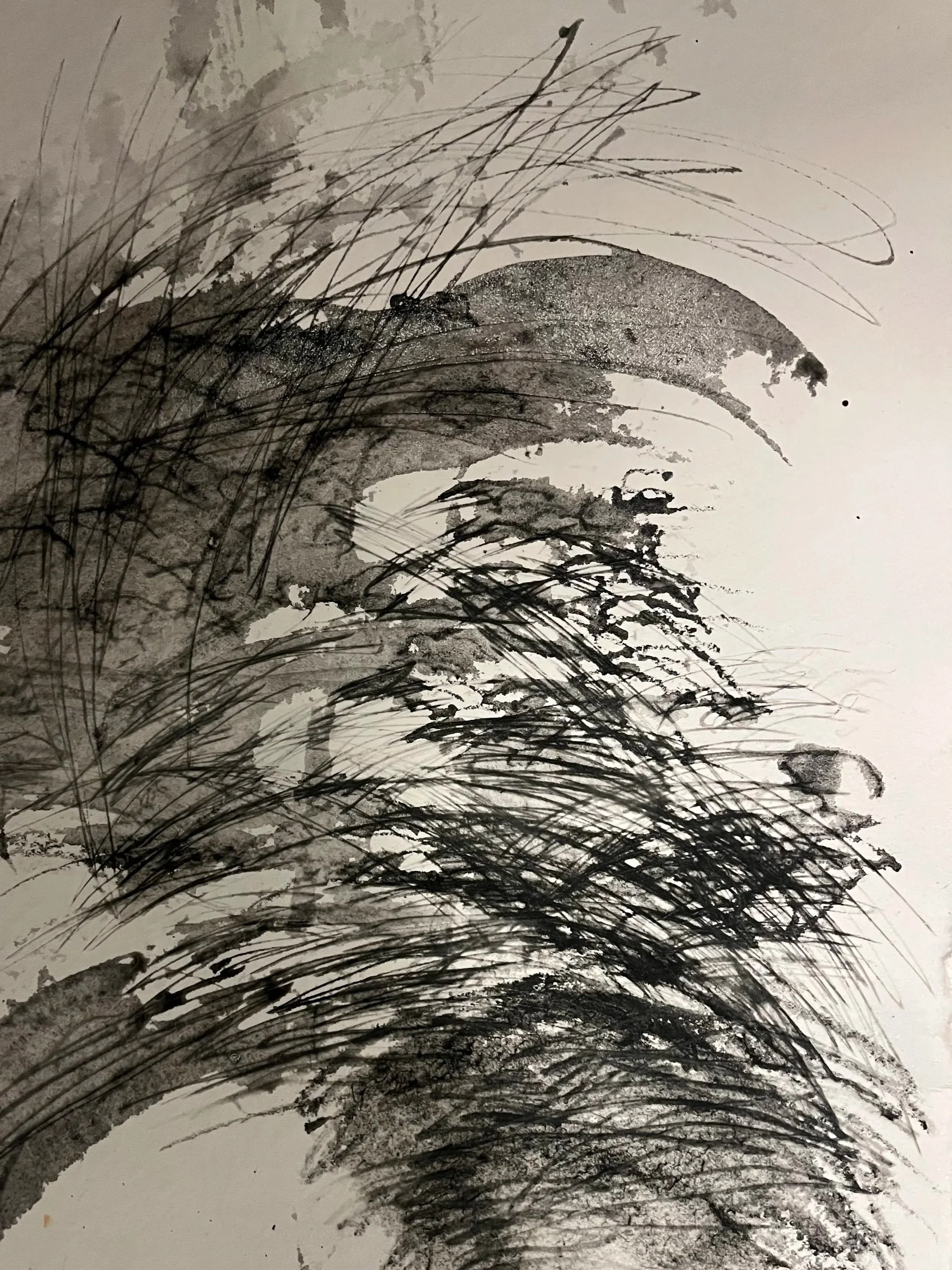 Graphite+03.jpg