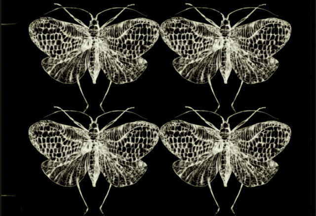 Screenshot%2525252525252B2025-11-29%2525252525252Bat%2525252525252B13.27.49.png