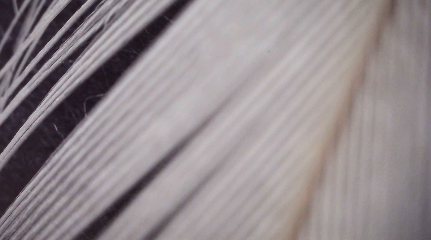 Screenshot+2026-07-03+at+12.42.49.png