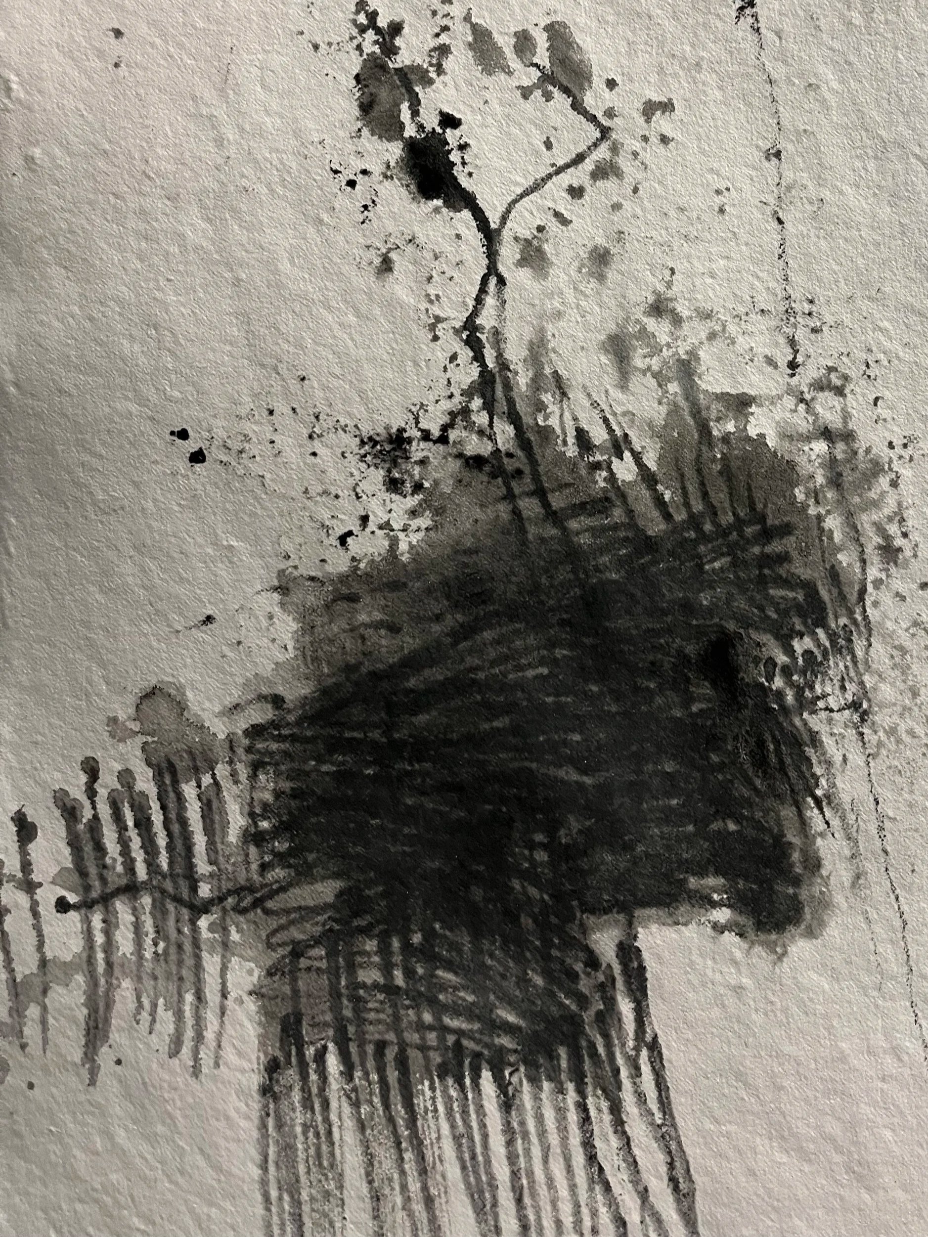 Graphite+06.jpg