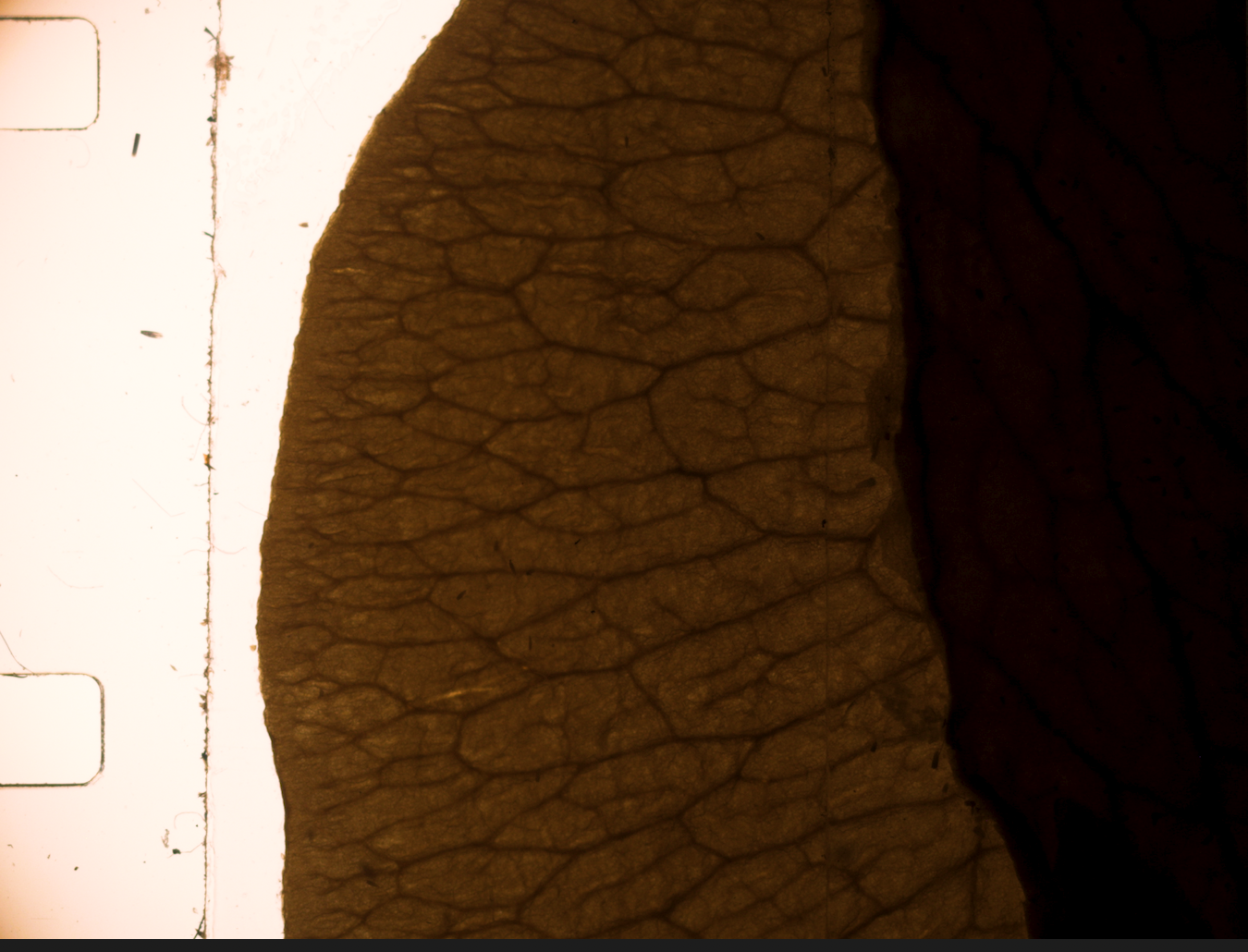 Screenshot 2026-02-13 at 13.21.30.png