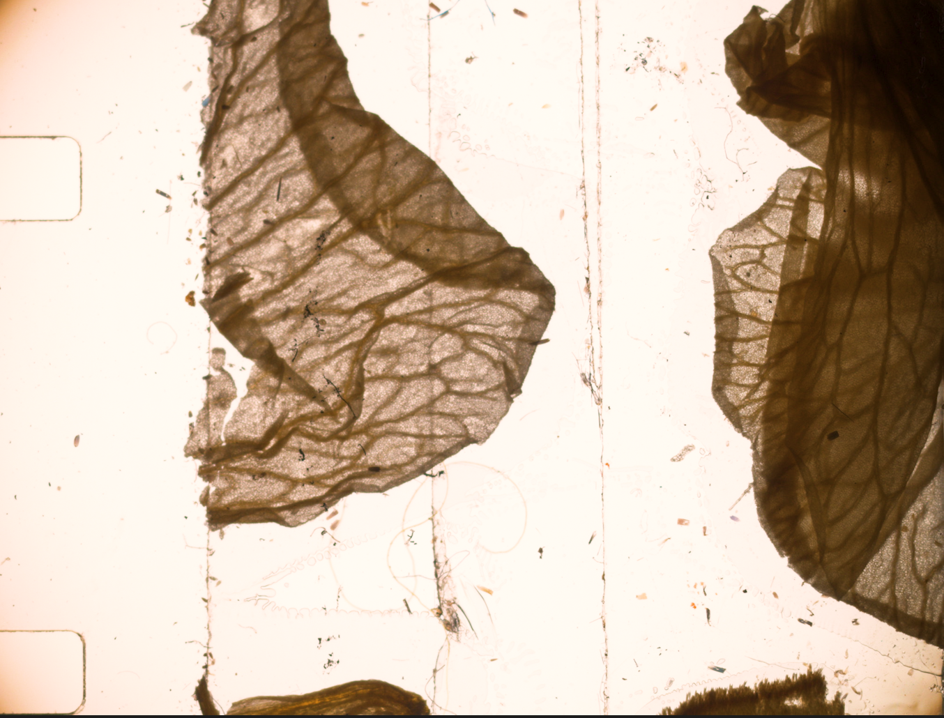 Screenshot 2026-02-13 at 13.21.22.png