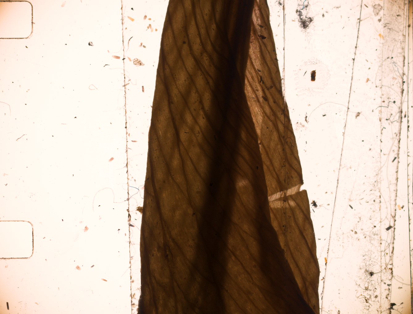 Screenshot 2026-02-13 at 13.21.44.png