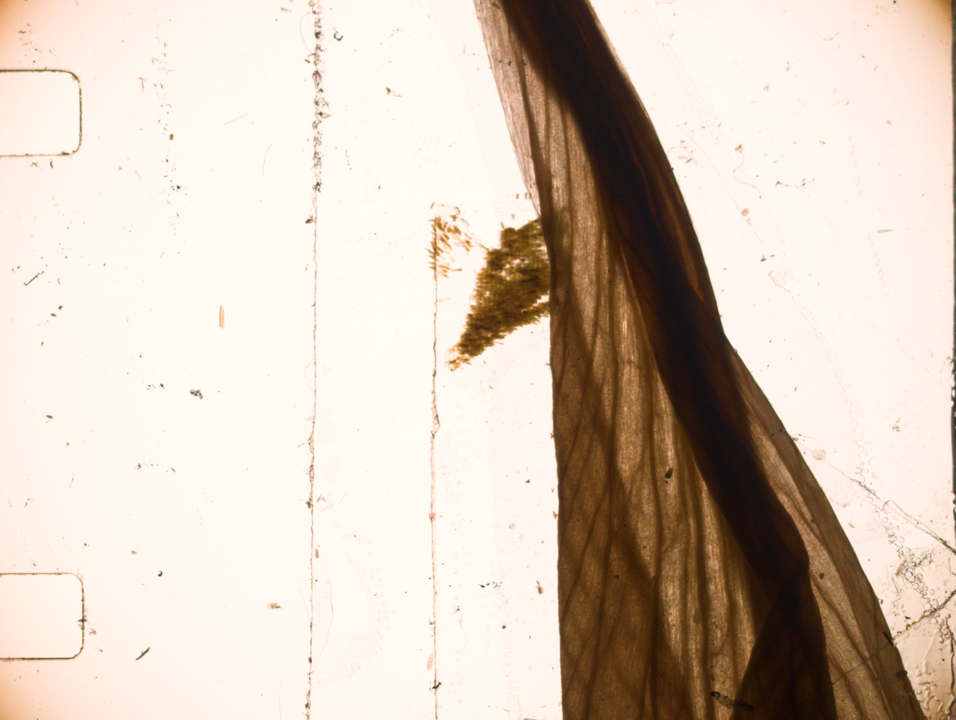 Screenshot 2026-02-13 at 13.21.12.png