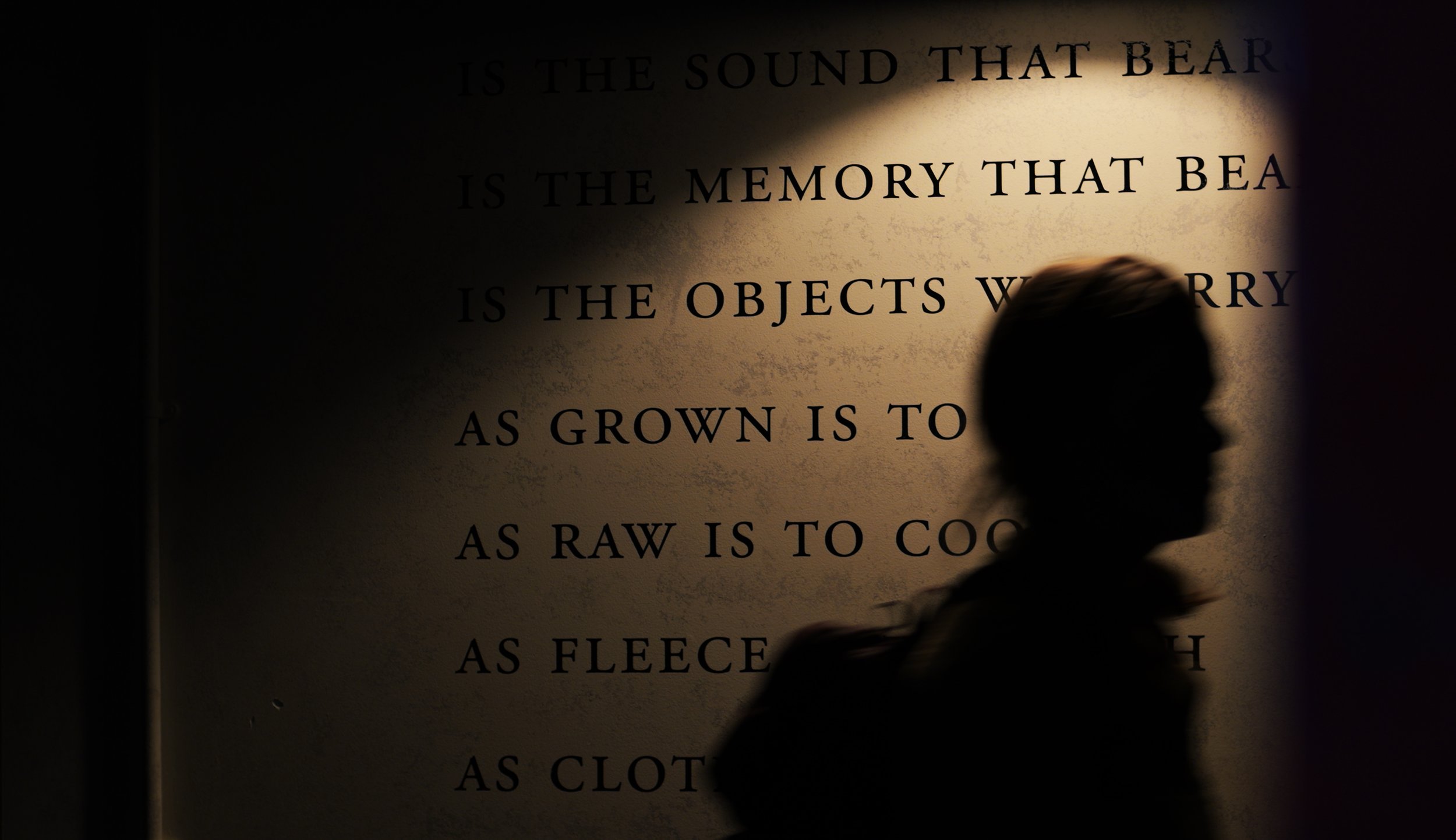 Shadow of visitor.jpg