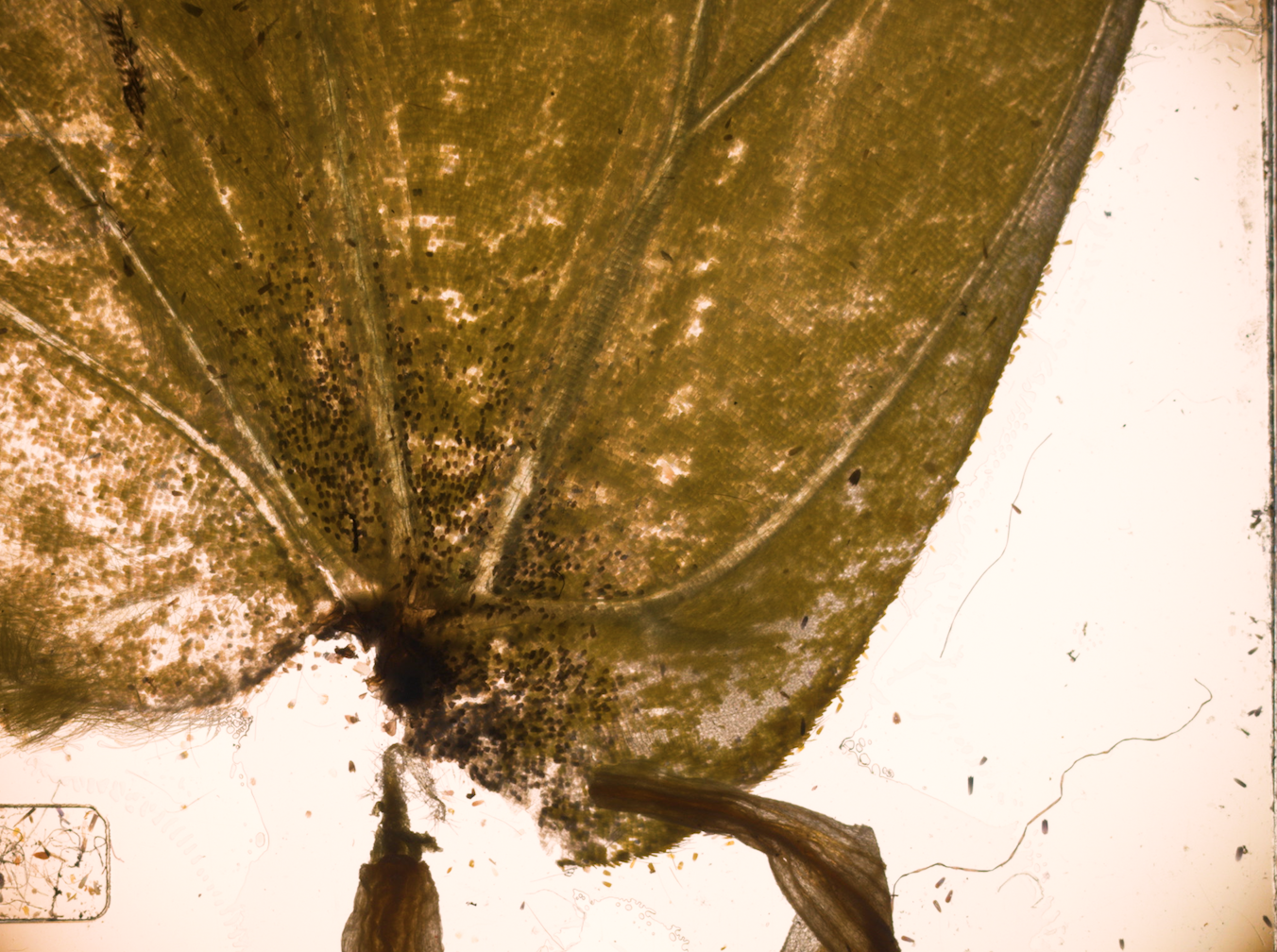 Screenshot 2026-02-13 at 13.21.56.png