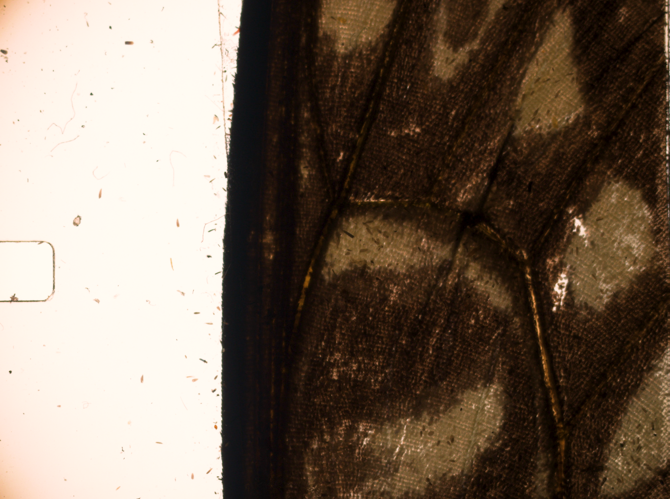 Screenshot 2026-02-13 at 13.21.05.png