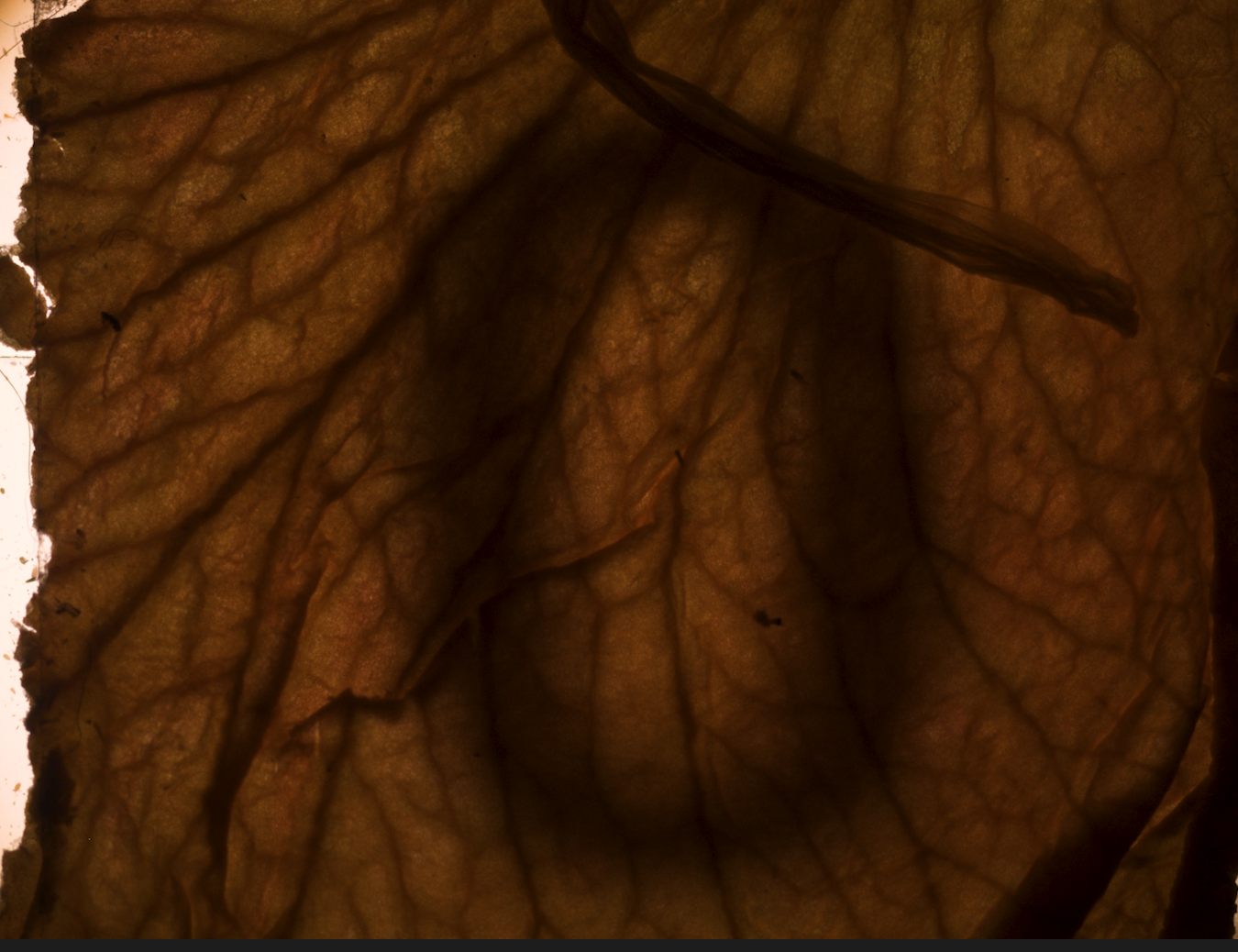 Screenshot 2026-02-13 at 13.22.04.png