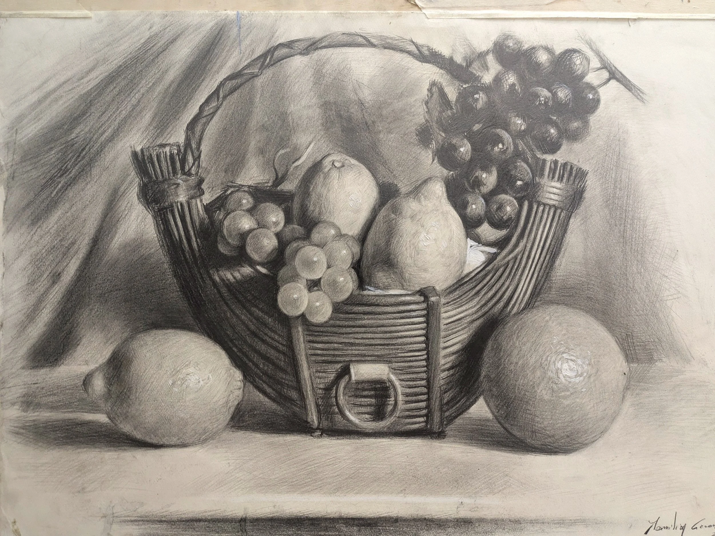 Still Life - Disegni