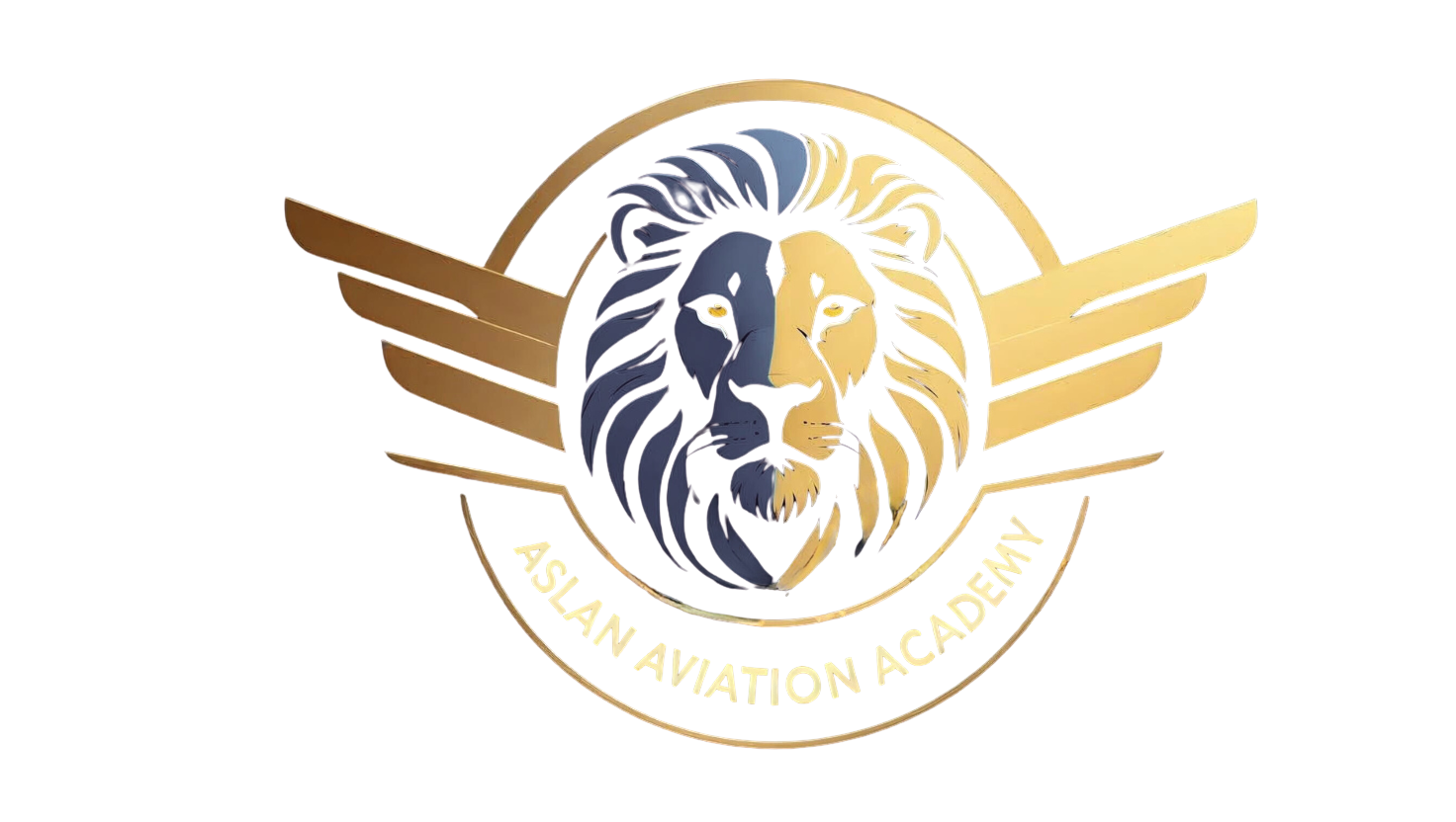 Aslan Aviation Academy