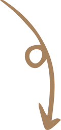Arrow pointing towards the first row of inspirational images.