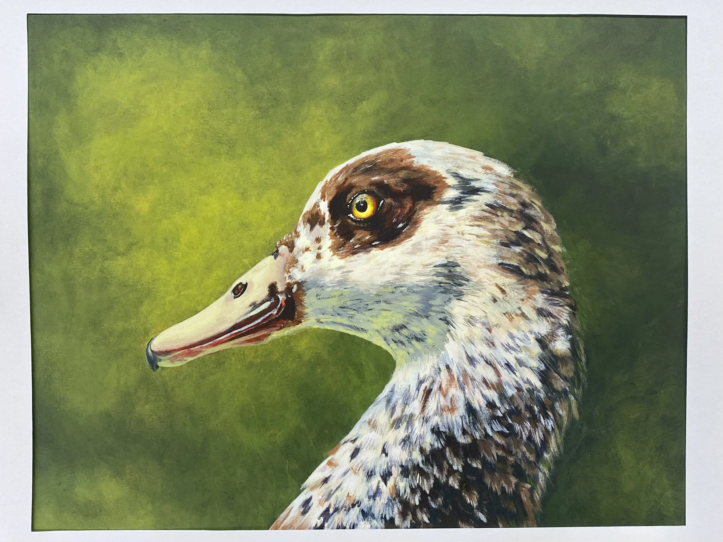 (NFS) Duck...Duck? Goose?