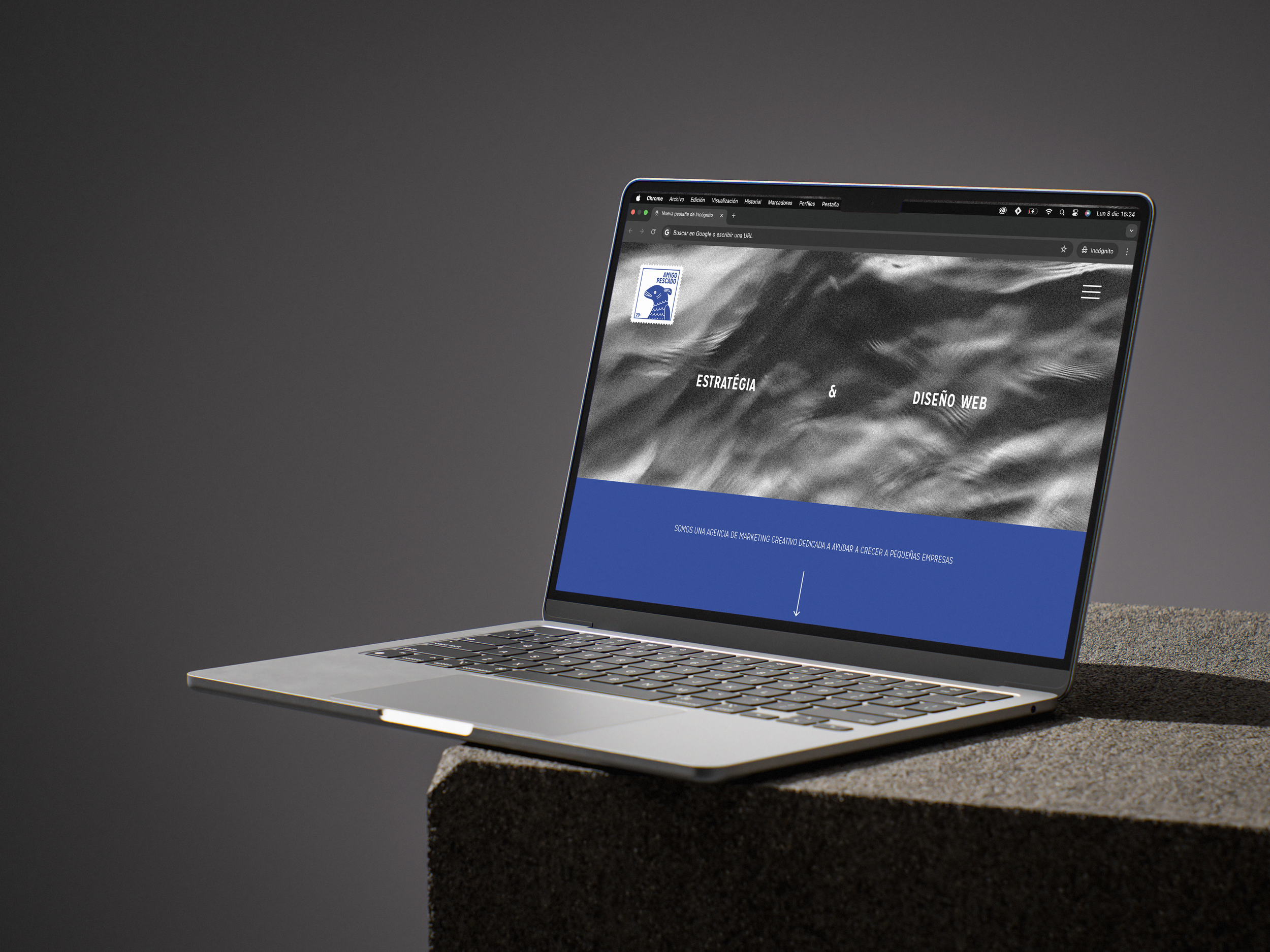 Web amigo pescado2.png