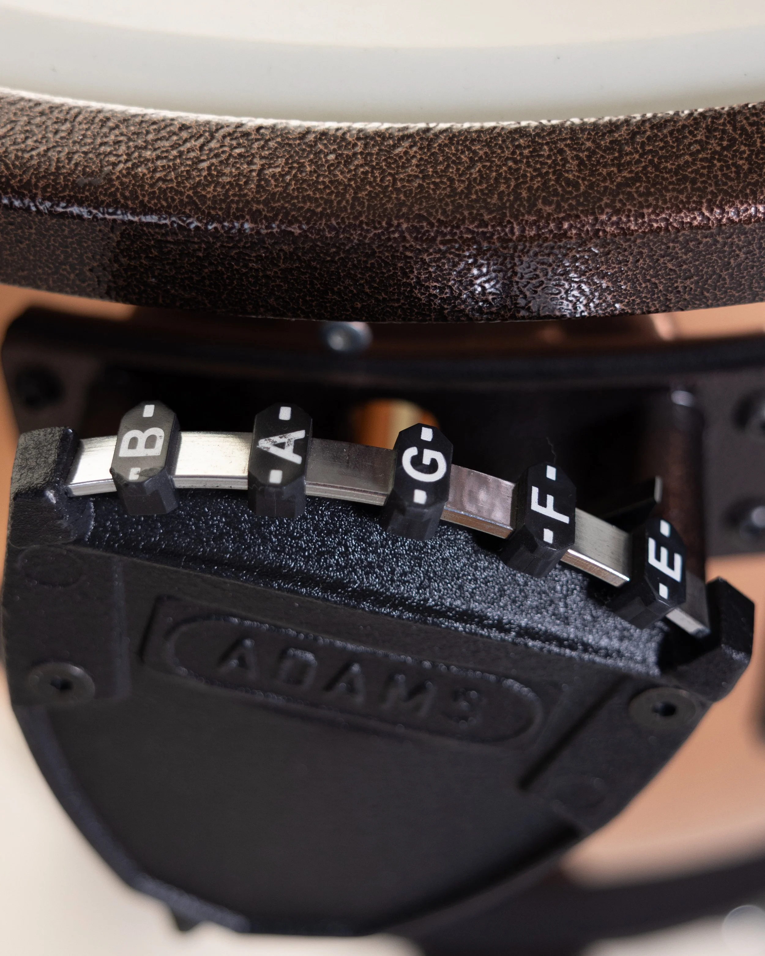 20 Adams 447A0125_RT.jpg