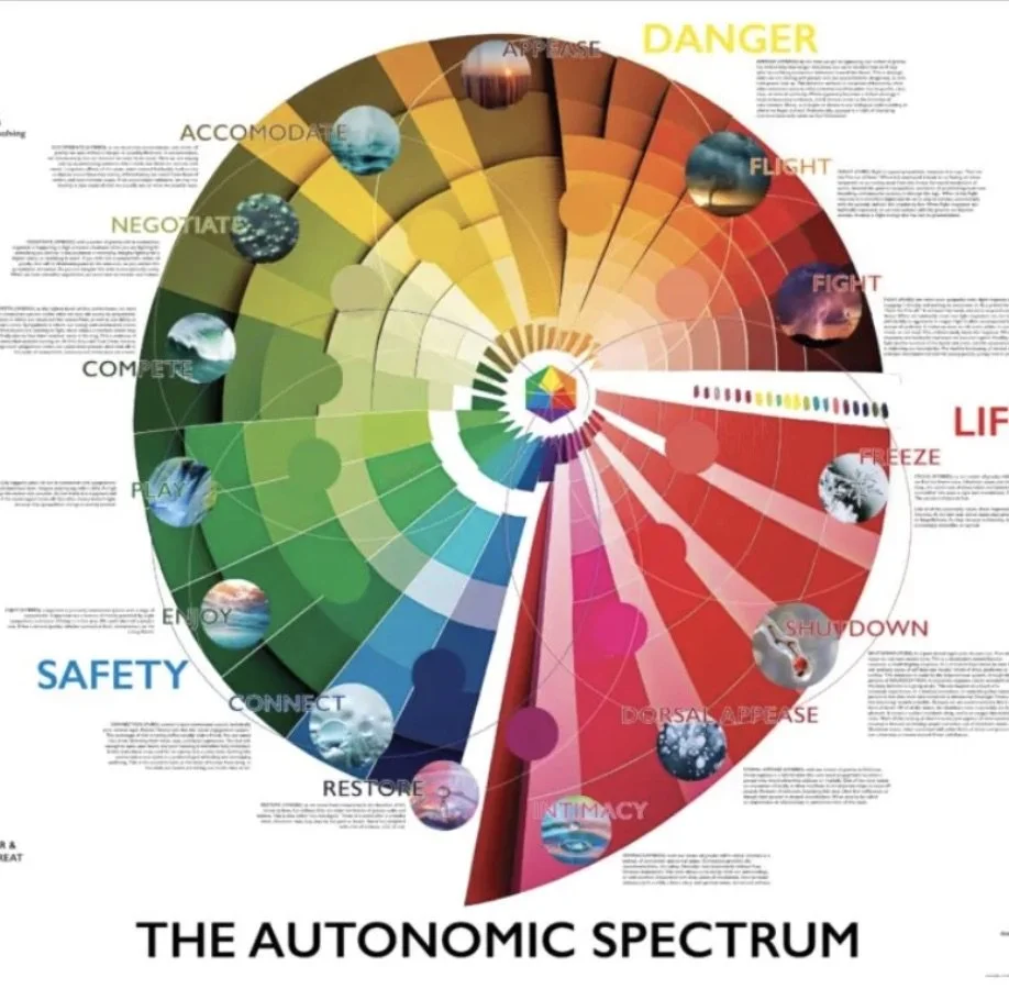 Challenging the Orthodoxy of the Autonomic Ladder