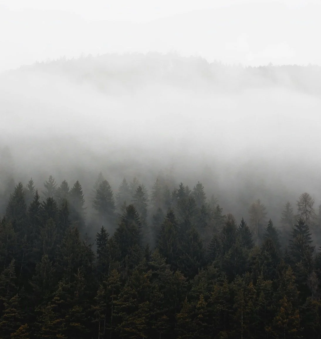 In praise of Stillness