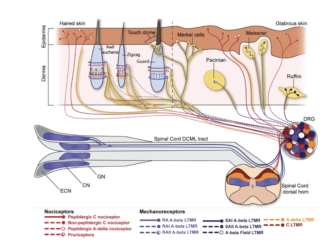Screen Shot 2024-05-07 at 12.04.21 PM.png