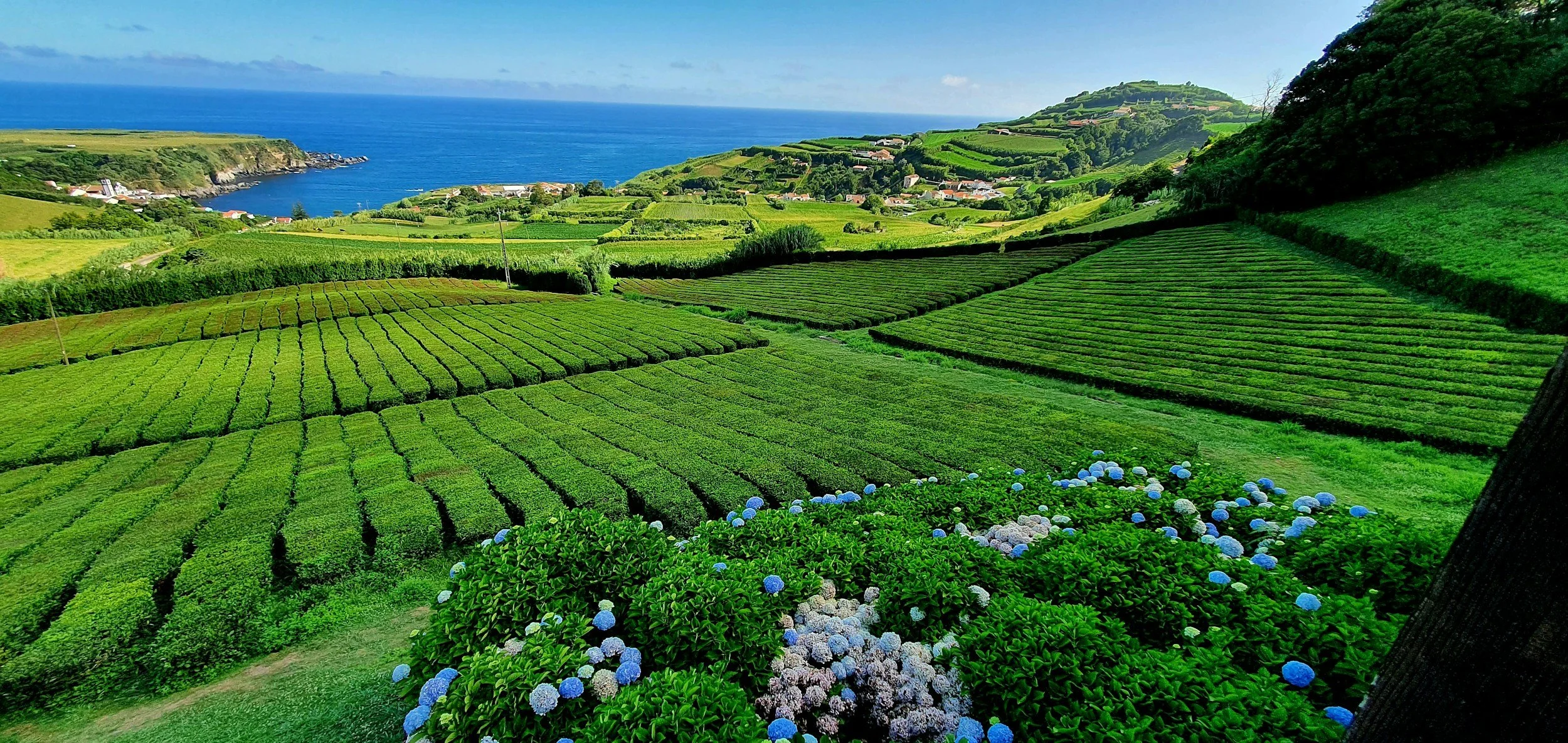 Azores - the ultimate guide 