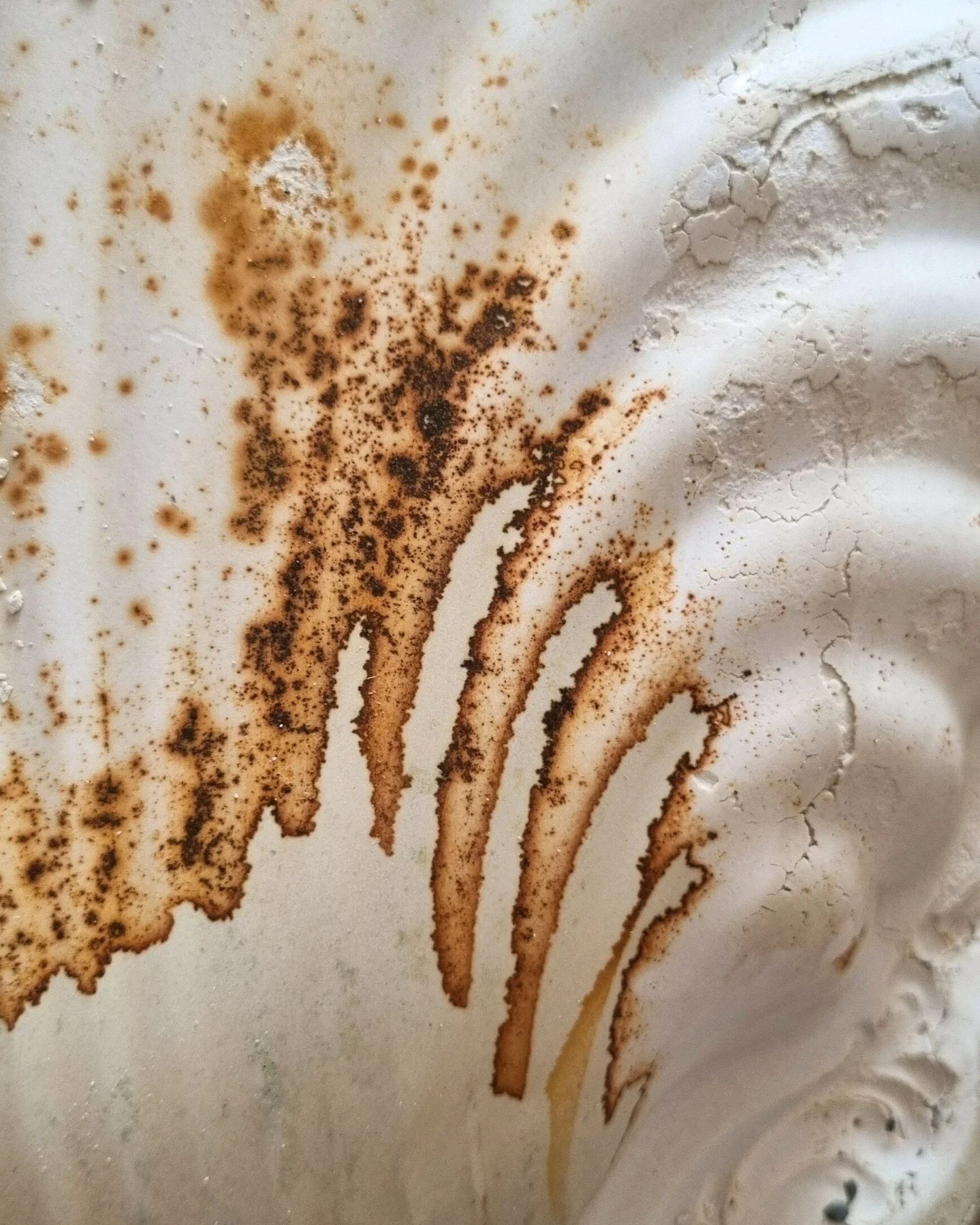 Rust on a plaster mould. Slip lines on a handthrown plate. Pottery tools drying in the sun. &amp; ancient Roman ruins. Corners of our studio in Rome 🤍

#PotteryLife #CeramicsArt #HandmadeCeramics #ceramicstudiorome #contemporaryceramics #AncientHist