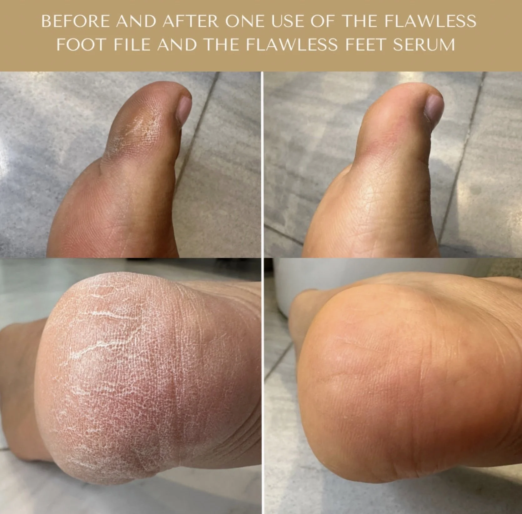 Image 2-16-26 at 12.49 PM (1).jpeg