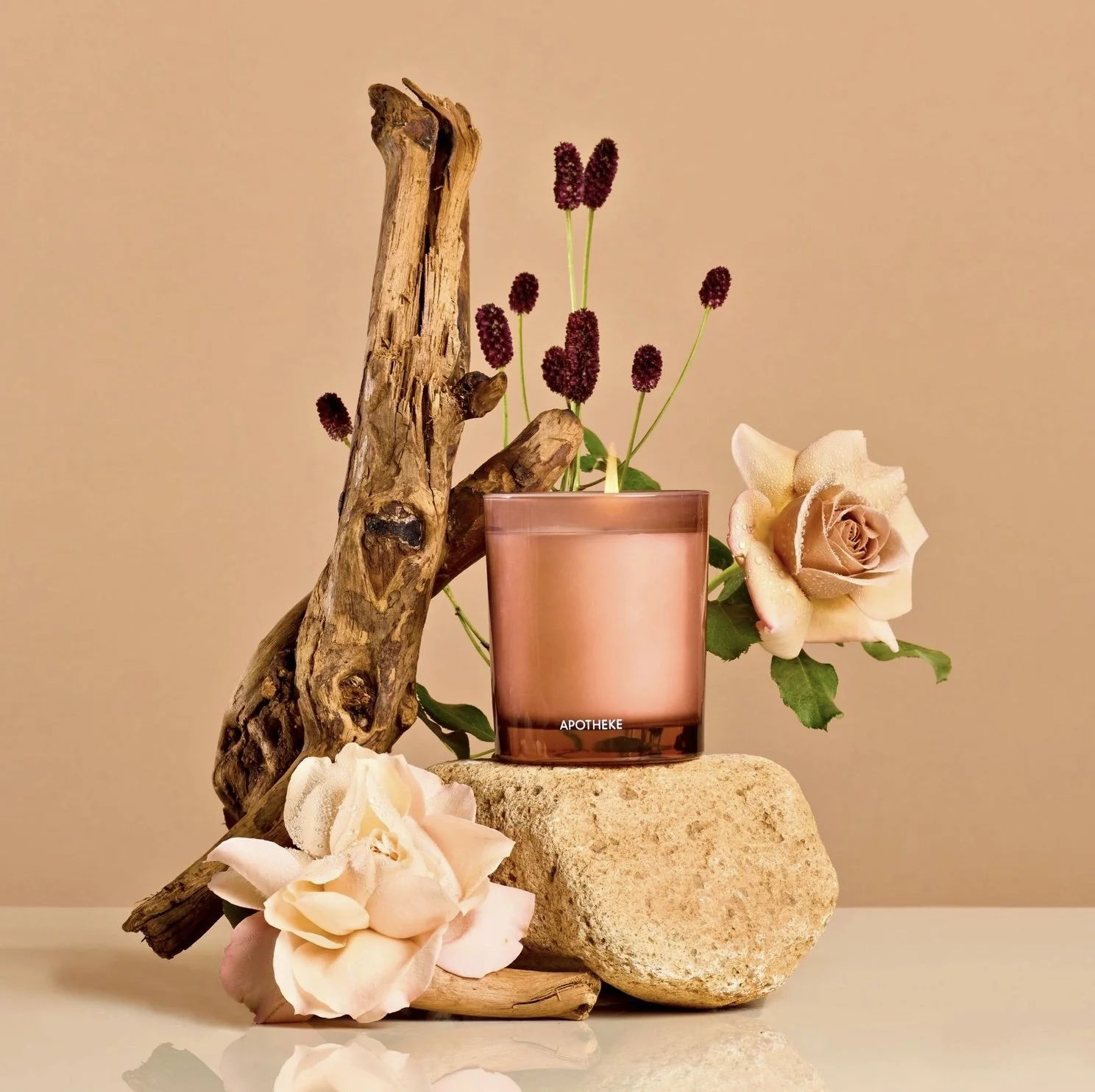 Image 2-14-26 at 7.45 PM (1).jpeg