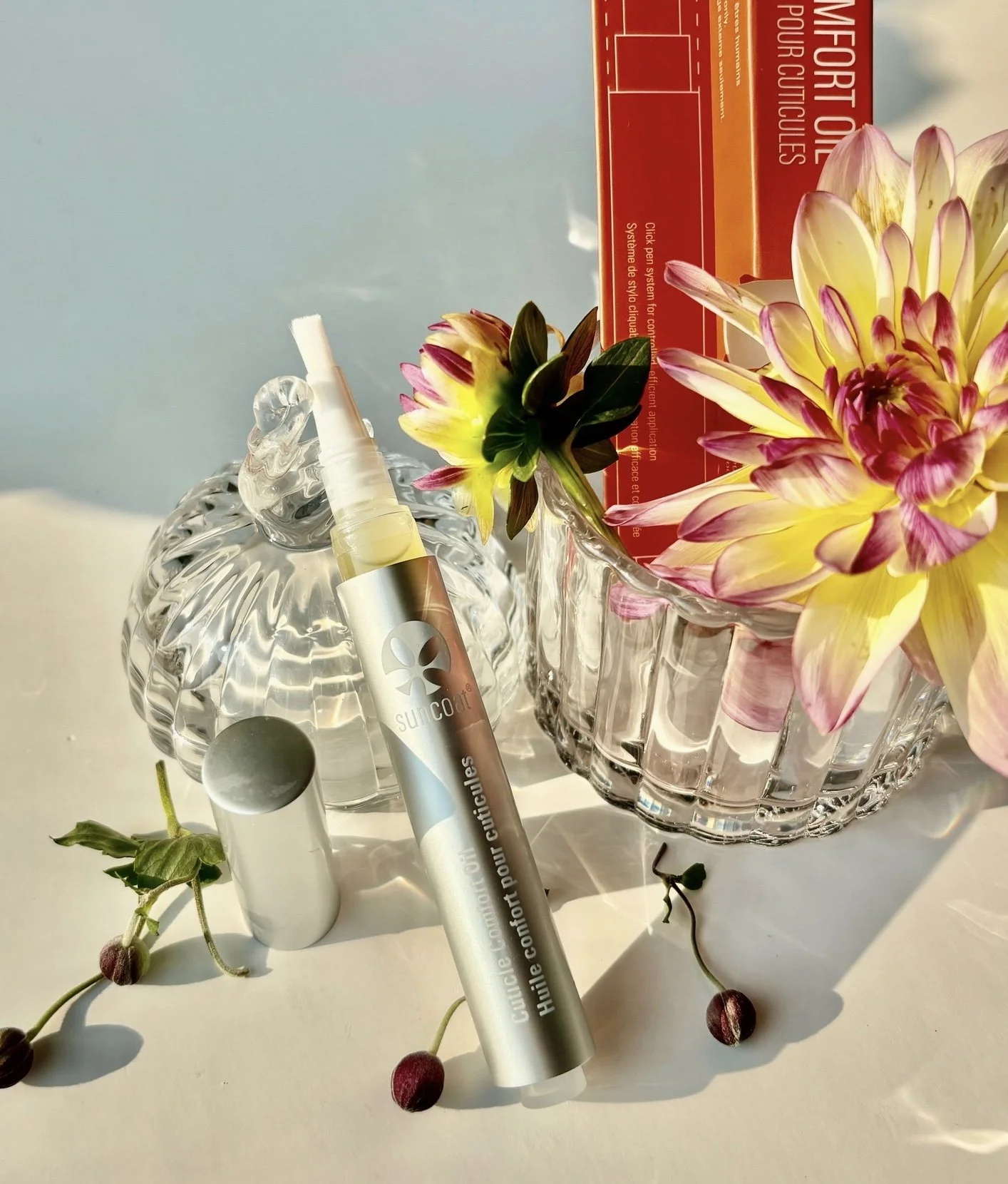 Image 2-16-26 at 12.43 PM (2).jpeg