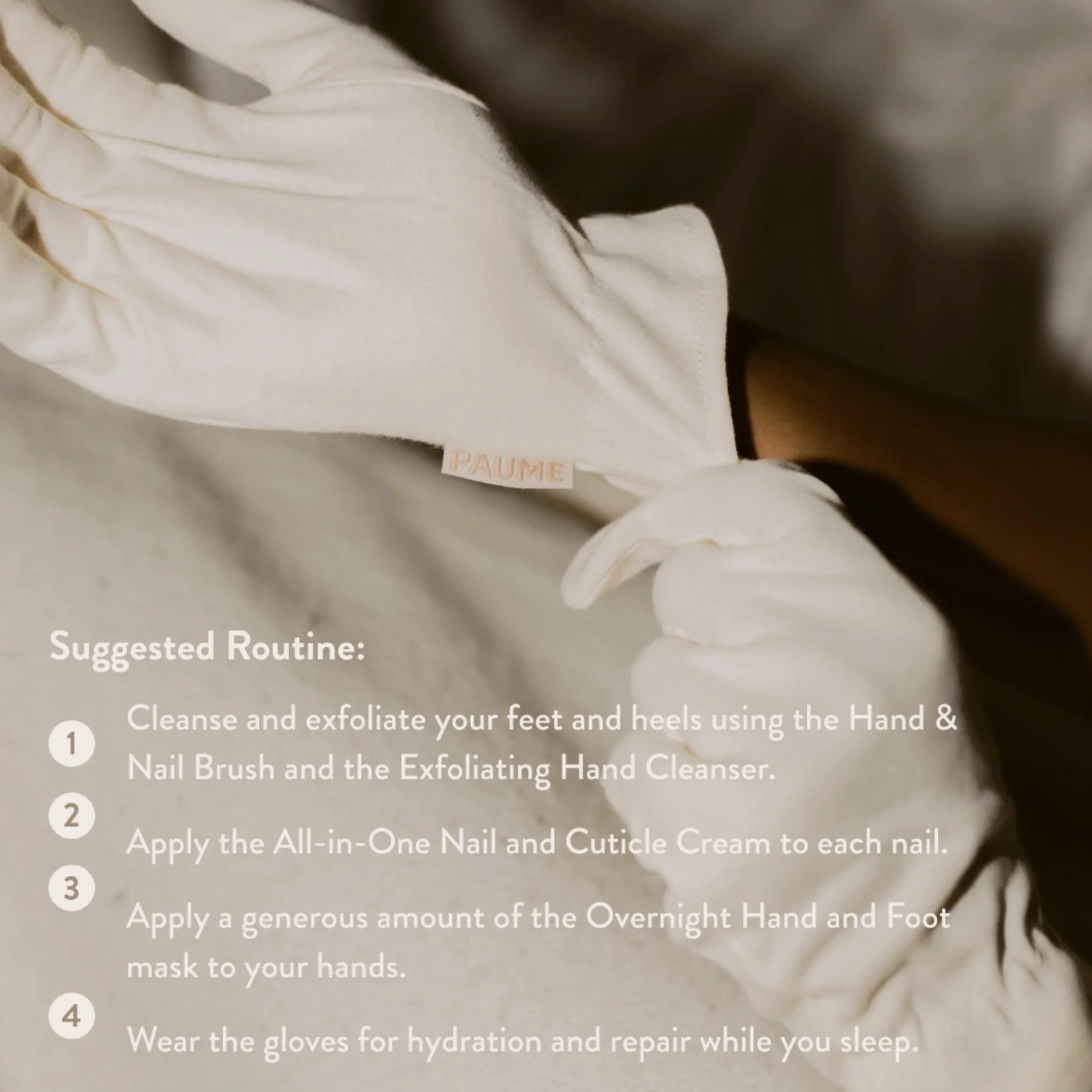 Image 2-16-26 at 12.33 PM (1).jpeg