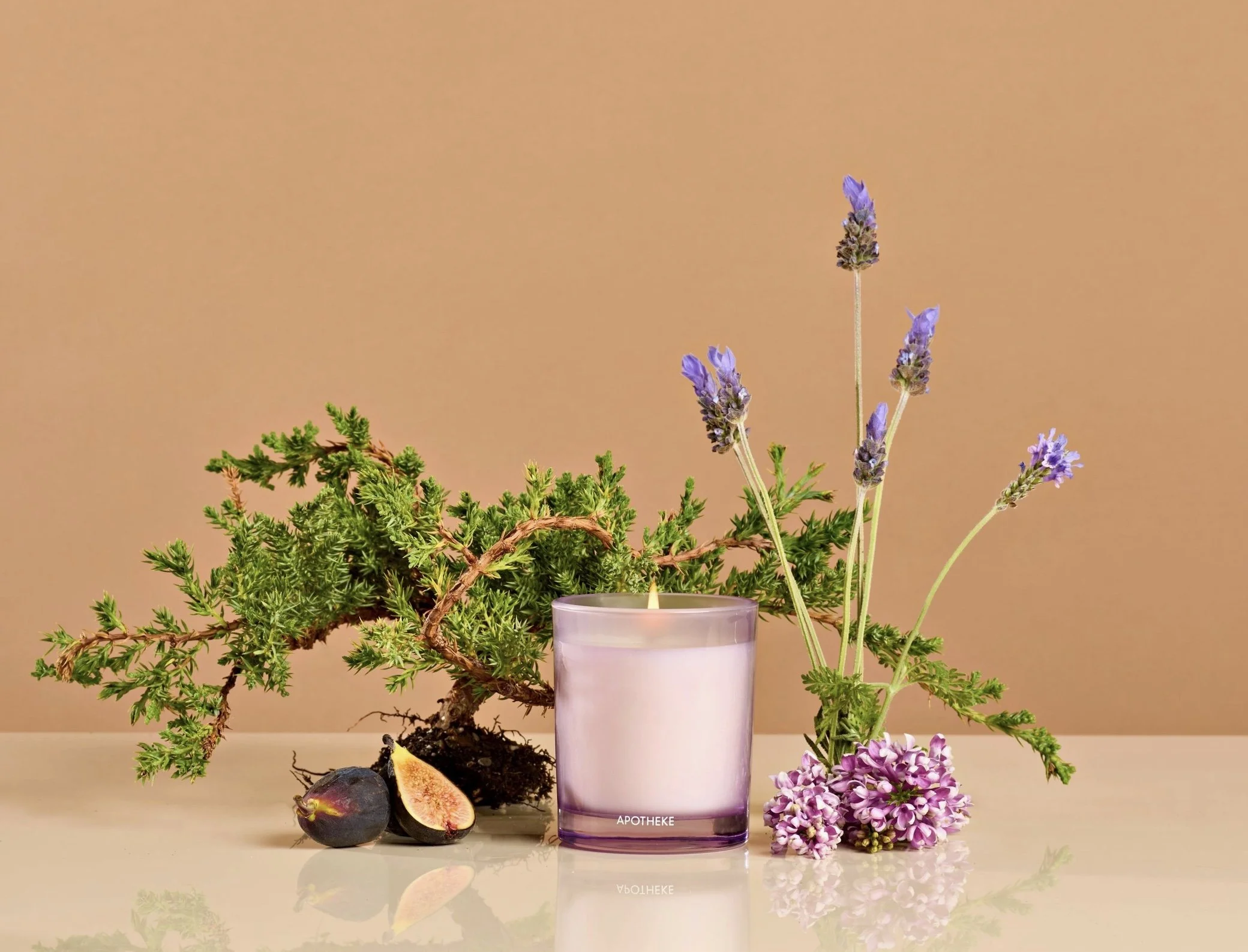 Image 2-14-26 at 7.52 PM (1).jpeg