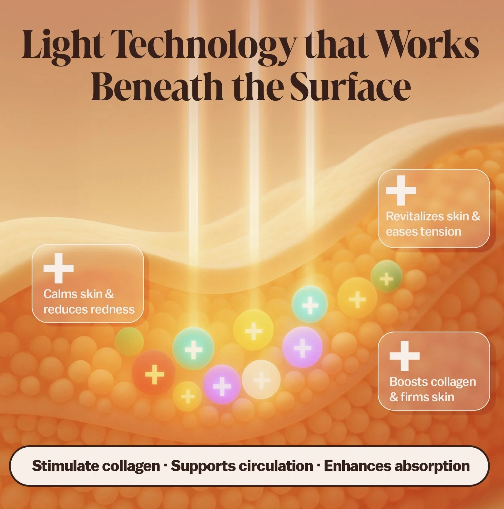 Image 2-16-26 at 1.12 PM (2).jpeg