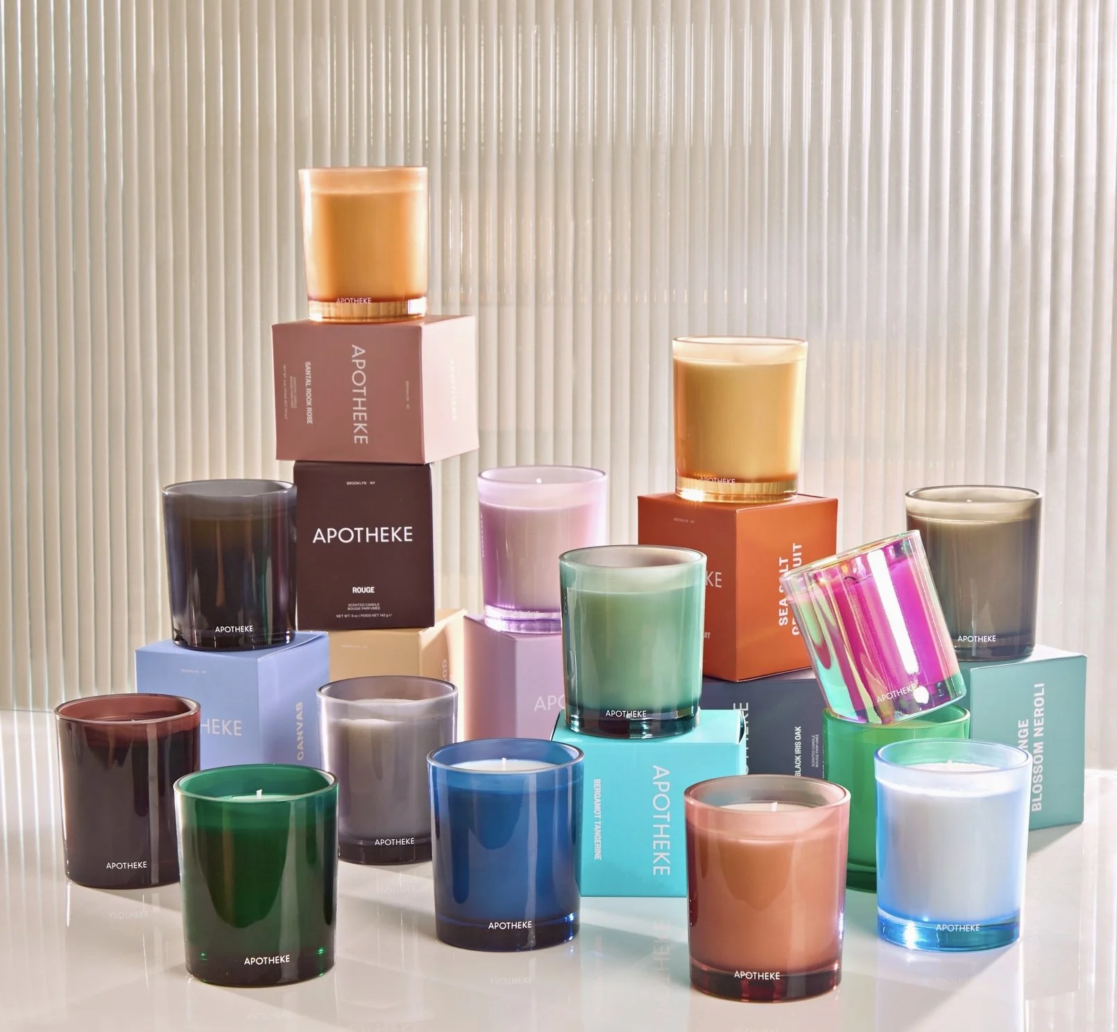 Image 2-14-26 at 7.31 PM.jpeg