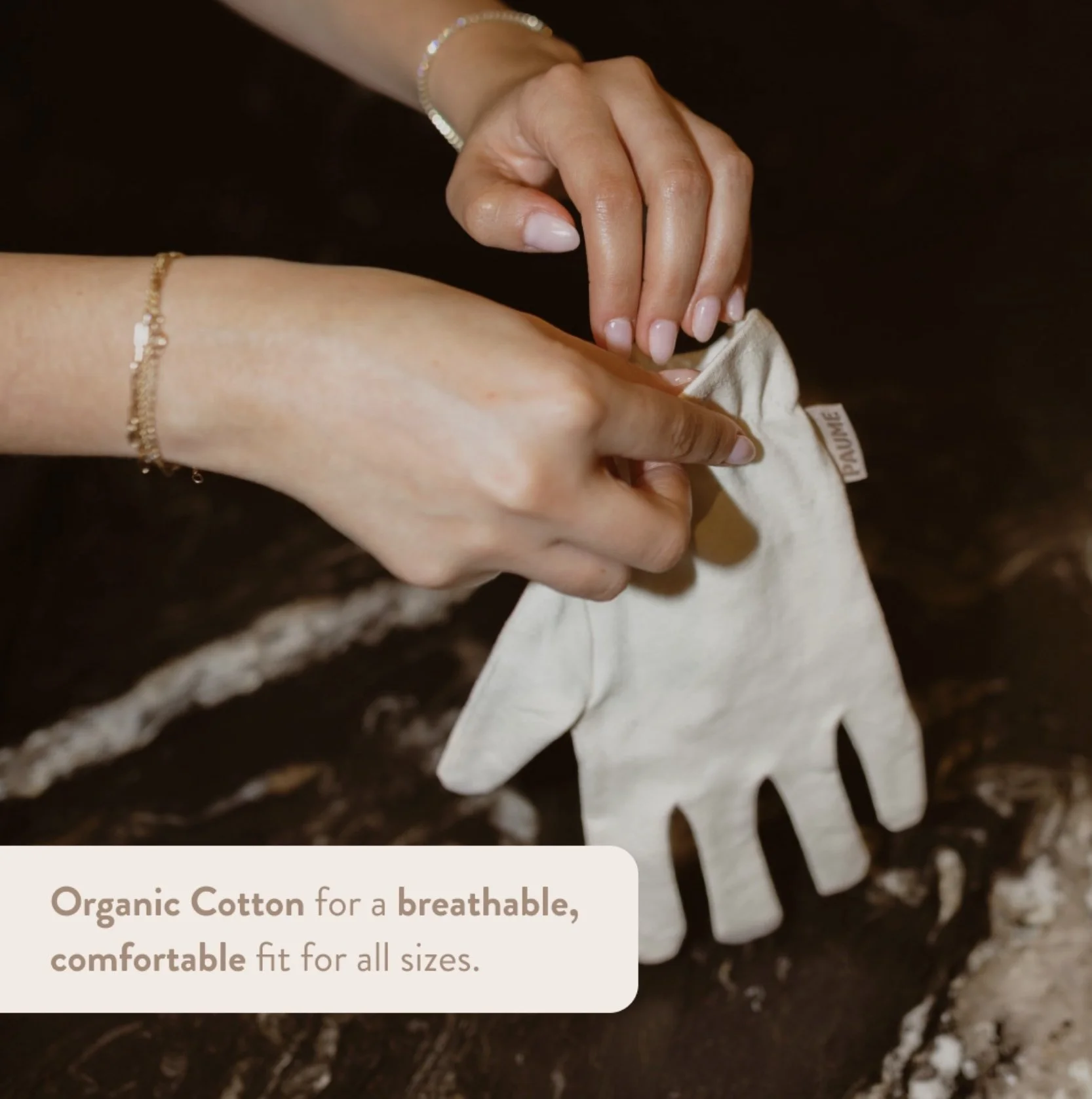 Image 2-16-26 at 12.33 PM.jpeg