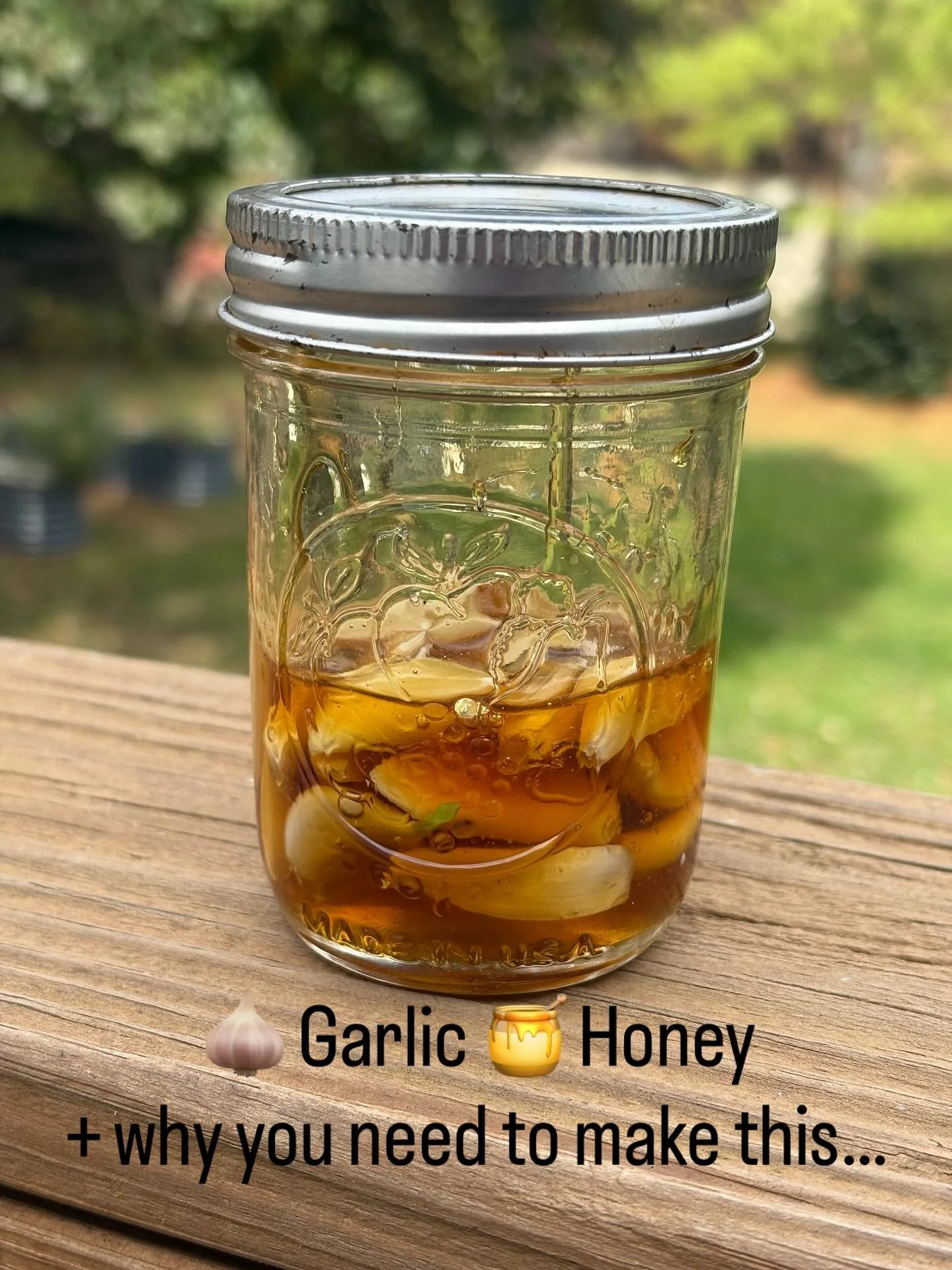 Peel up those garlic cloves 🧄 now and peel the skin of each clove. Put in a jar and pour over raw honey 🍯 so all garlic is covered. Let sit covered for a few weeks then 🥄 spoon out a clove or two if you are feeling under the weather 🤧 

Garlic is