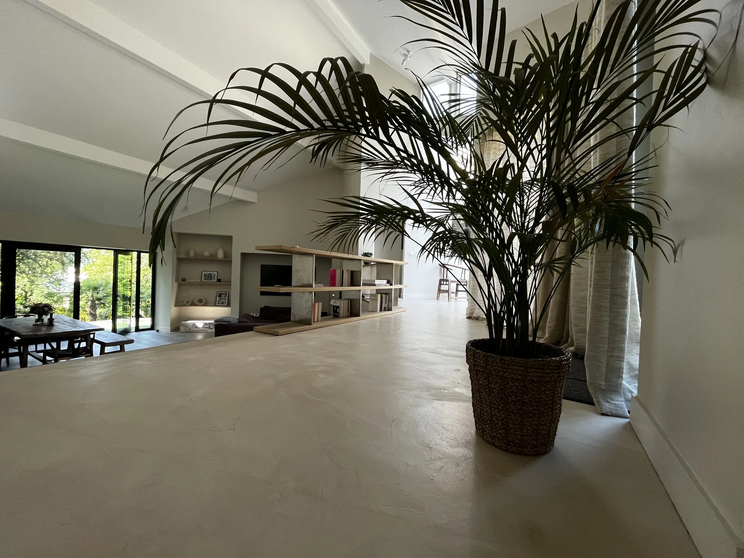 Grand intérieur moderne avec un grand palmier dans un pot tressé en fibre naturelle, lumineux avec des fenêtres encloisonnées.