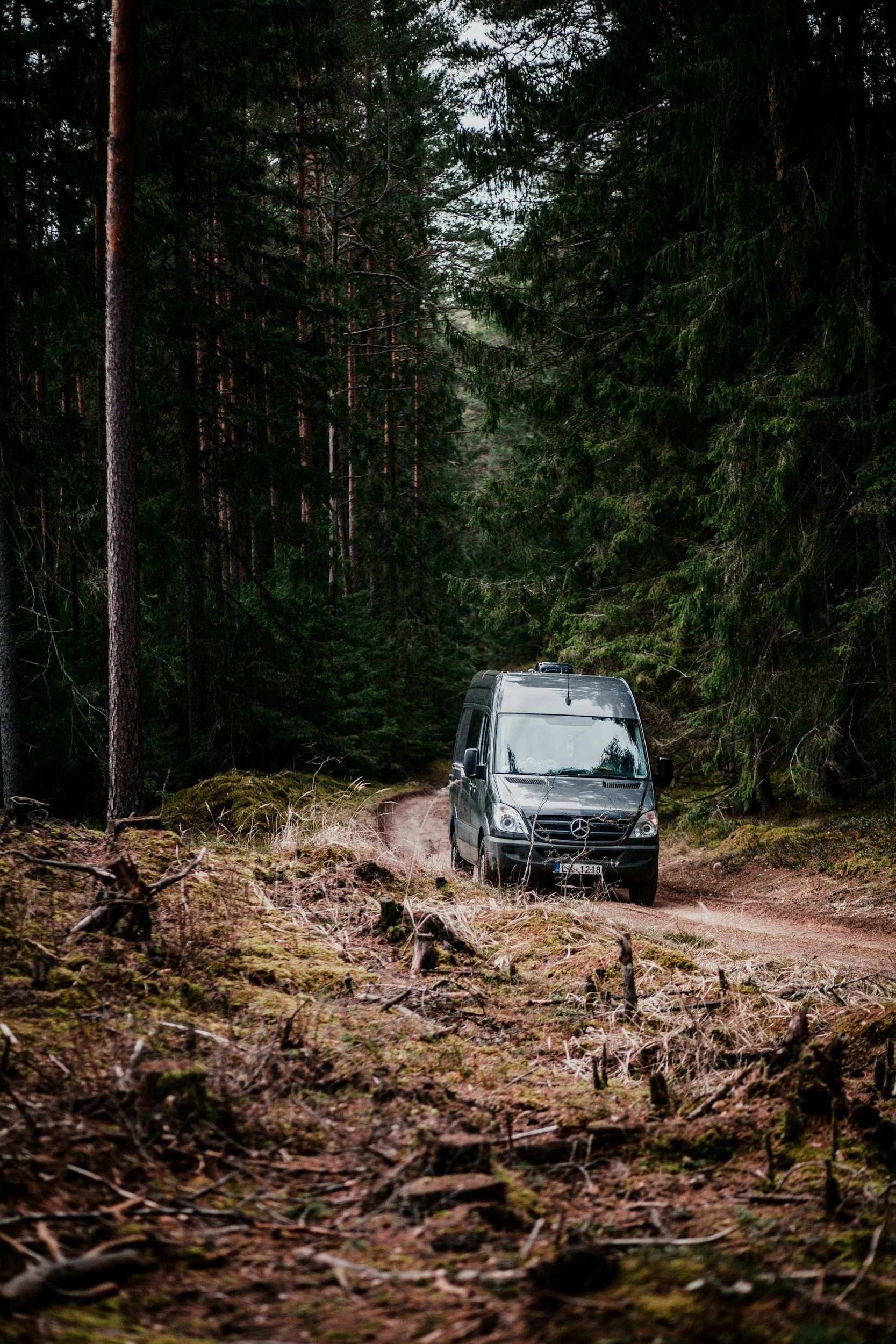 A black Mercedes van driving on a narrow dirt trail through a dense forest of tall pine trees.