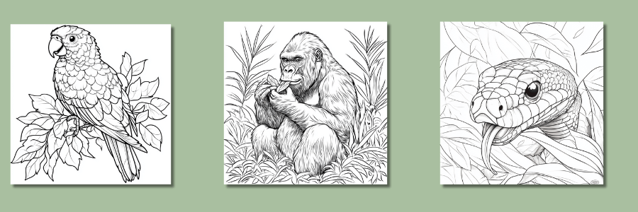 Sample coloring pages from: Animal Coloring Nook for Kids - Jungle Animals with Rhyme and Fun Facts Vol. 5
