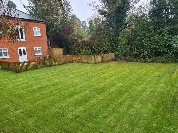 1000044176.jpg