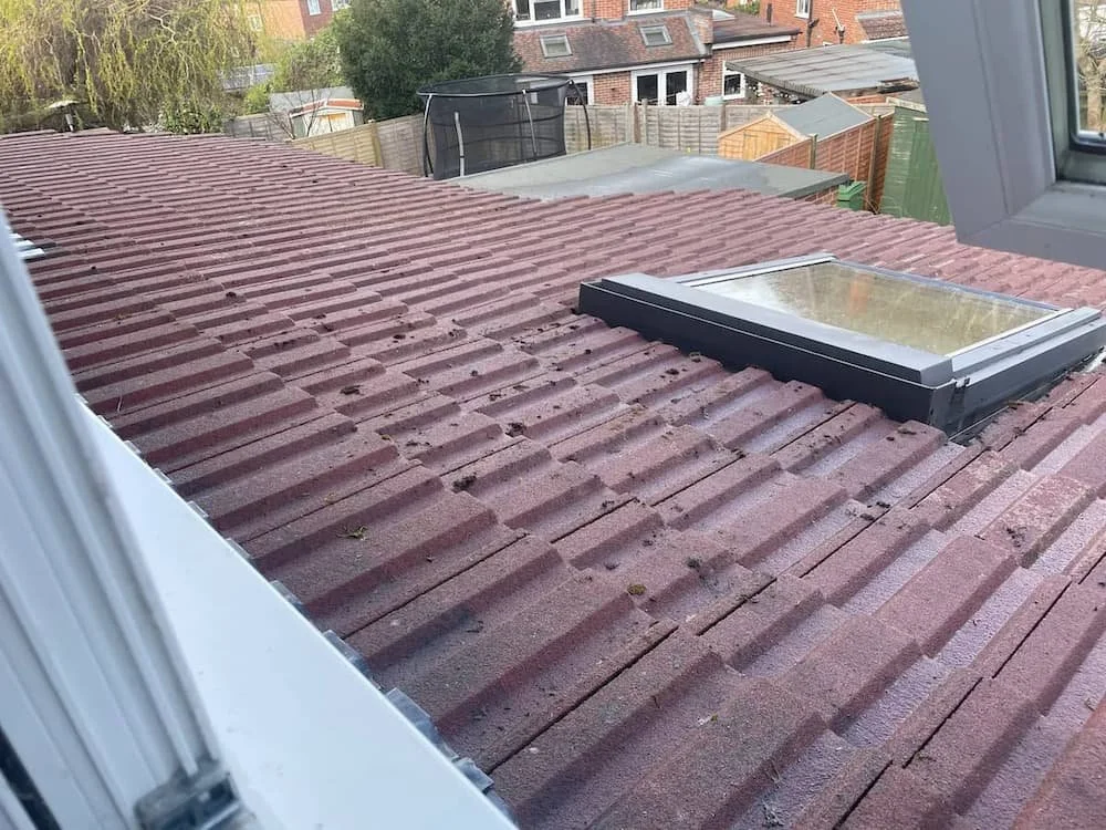 Clean red roof tiles after professional manual moss scraping and preventative biocide treatment in Earley.