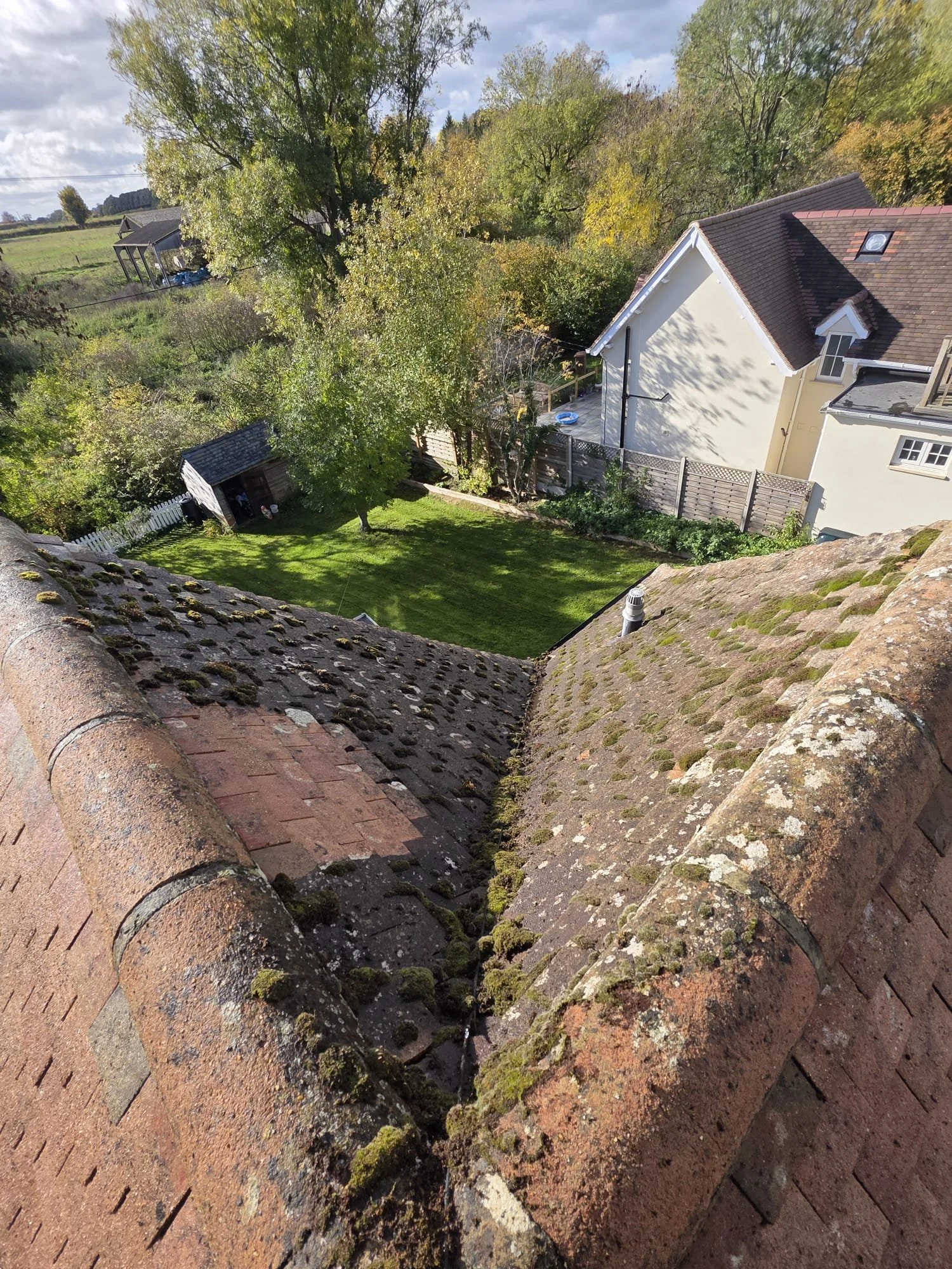 Before image of a heavily moss covered roof before being scraped and soft washed by Immaculate Services in Berkshire.