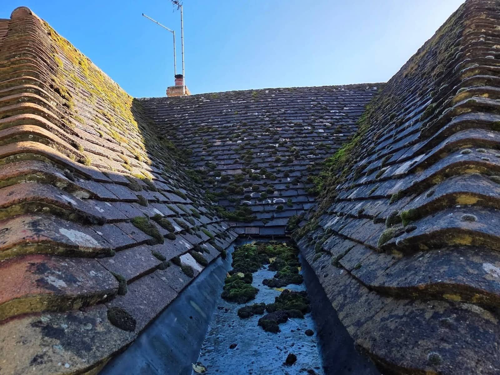 Moss covered roof before image Reading