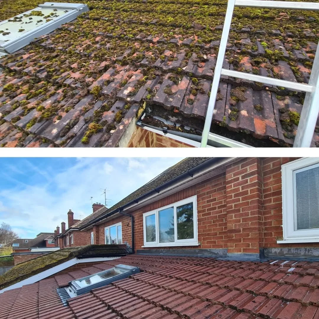 Roof restored following exterior cleaning and treatment.