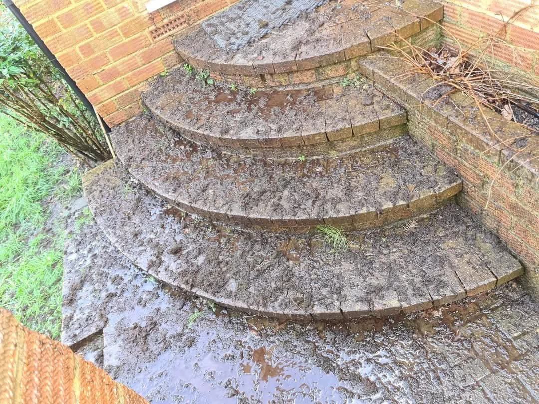 Before image of moss covered steps in Reading, before complete moss removal and biocide treatment by Immaculate Services