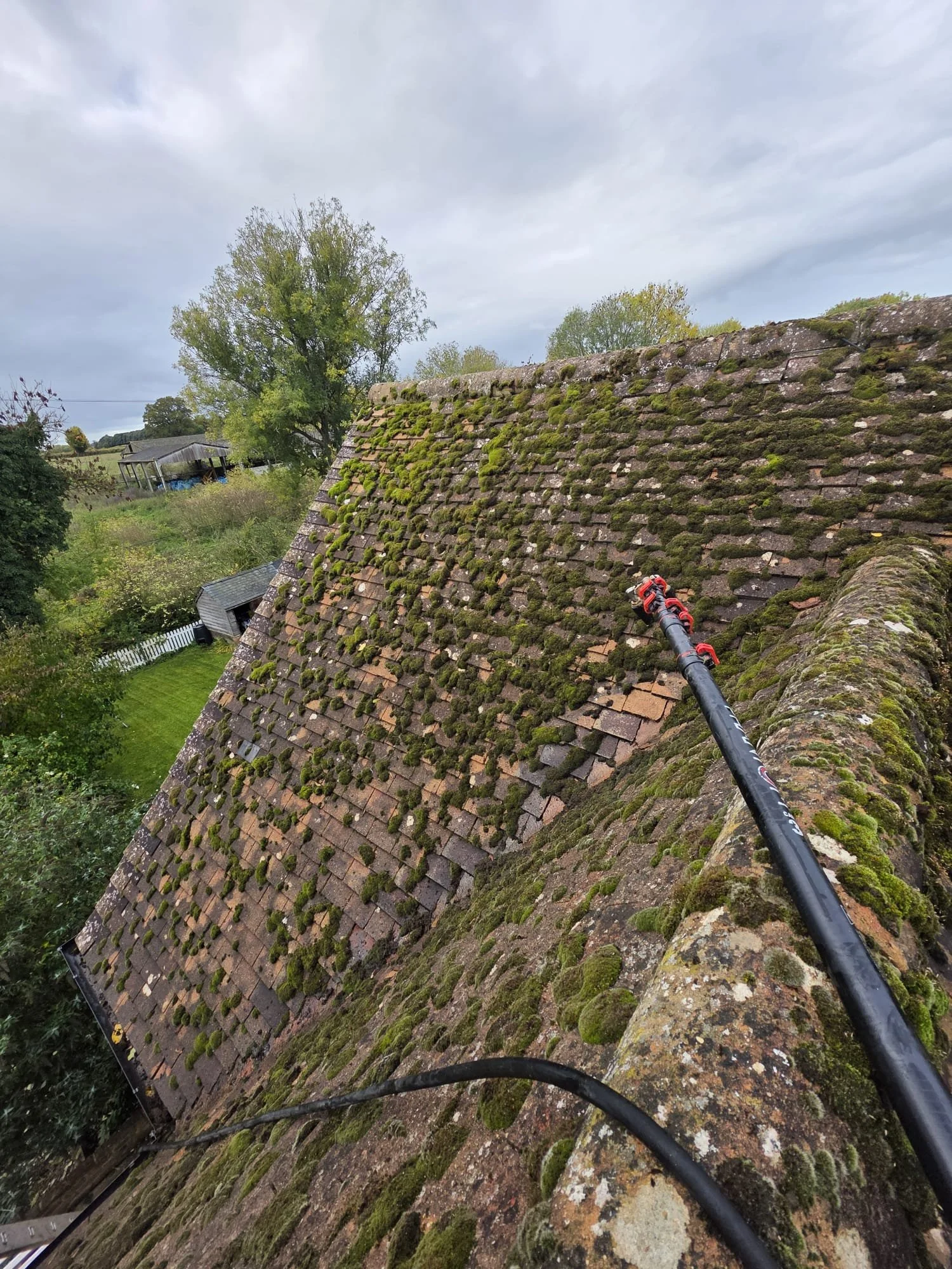Roof before moss removal service in Berkshire.