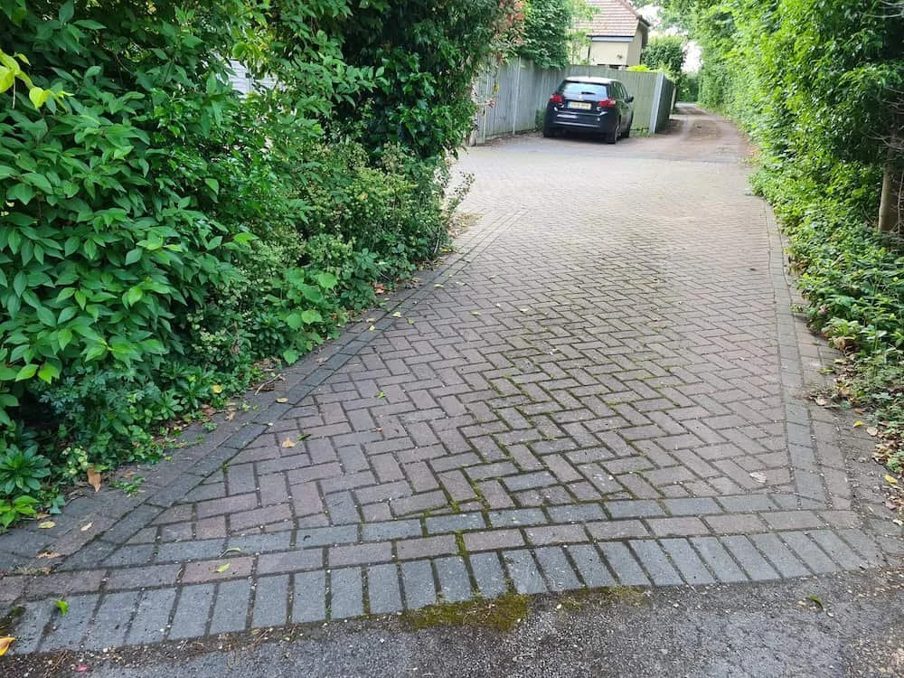 Dirty block paving driveway covered in thick moss weeds and black atmospheric dirt in Caversham before cleaning.
