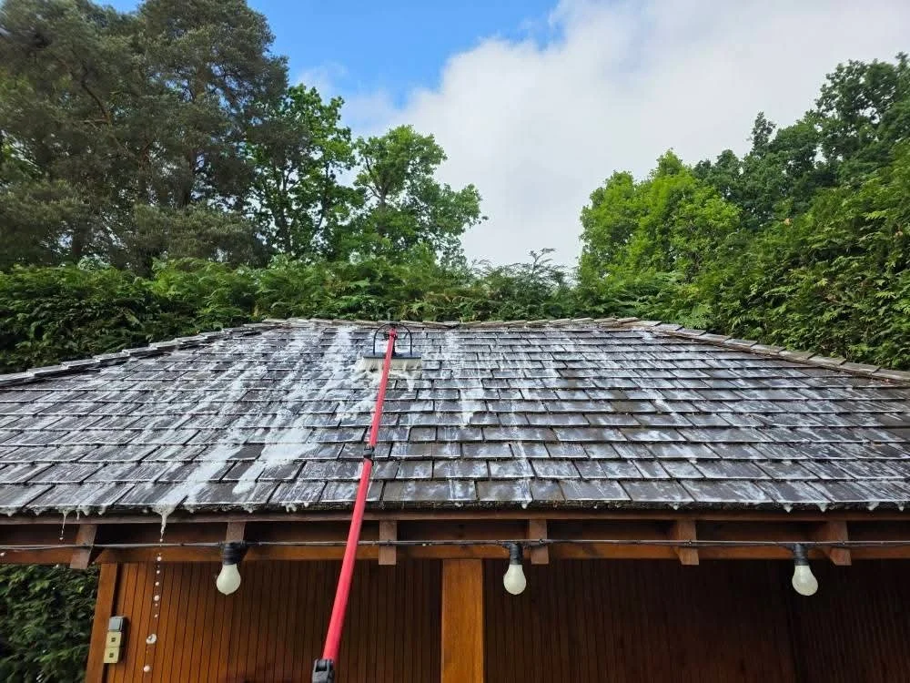 Content Design Animation No file chosen Roof Cleaning Woodley Reading Immaculate Services