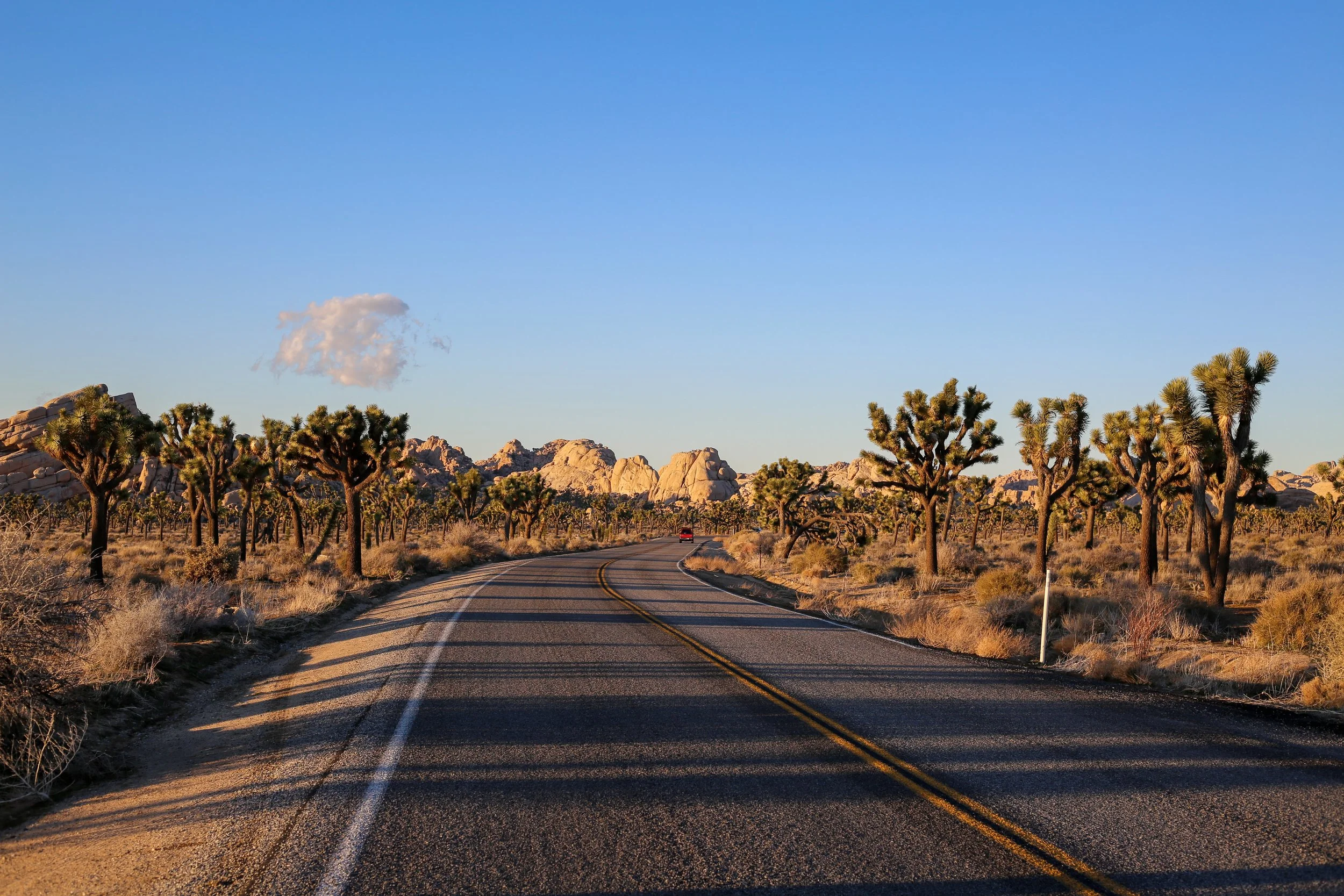A winding desert road surrounded by Joshua trees, with rocky hills in the background under a clear blue sky.